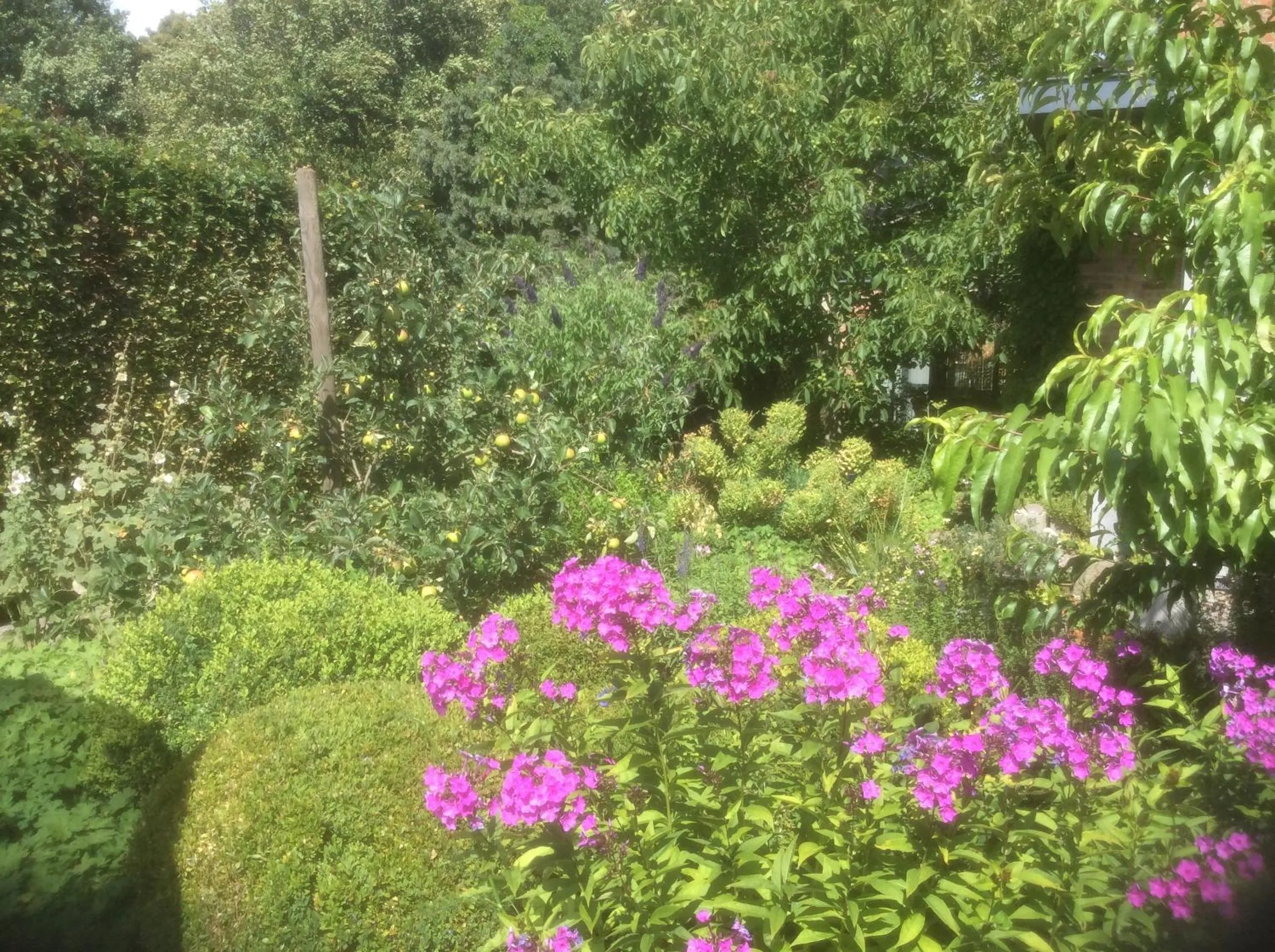 Garden in B&B De Kastanjeboom