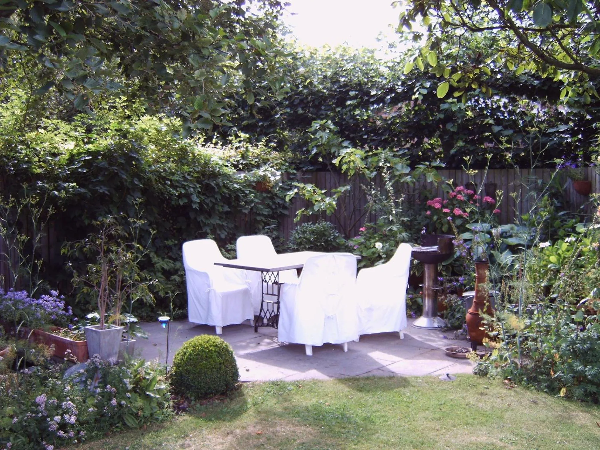 Garden in B&B De Kastanjeboom
