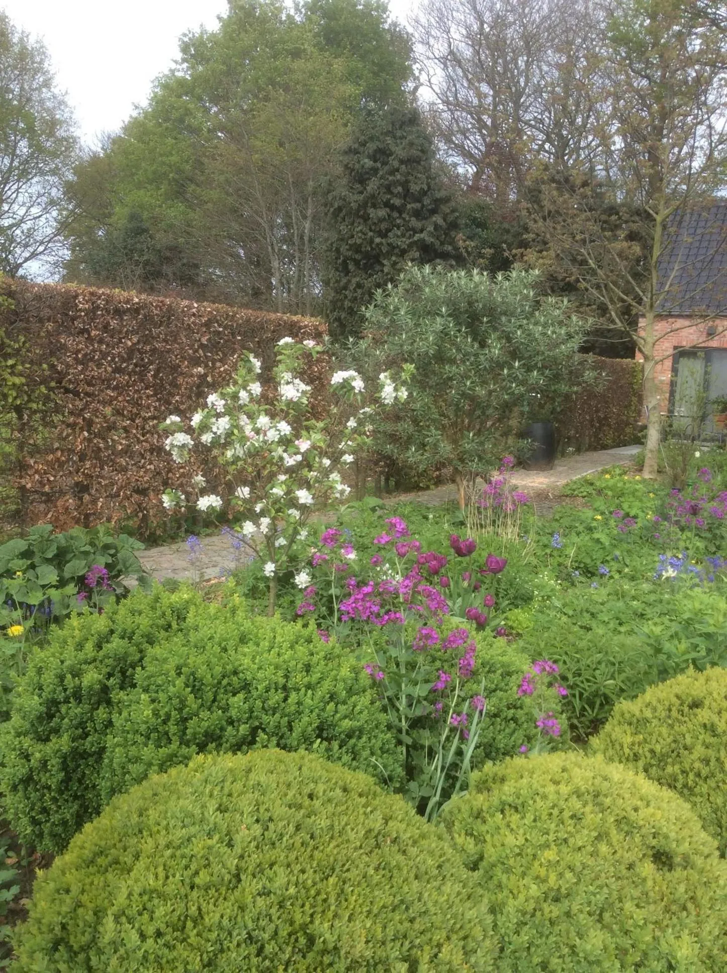 Garden view in B&B De Kastanjeboom
