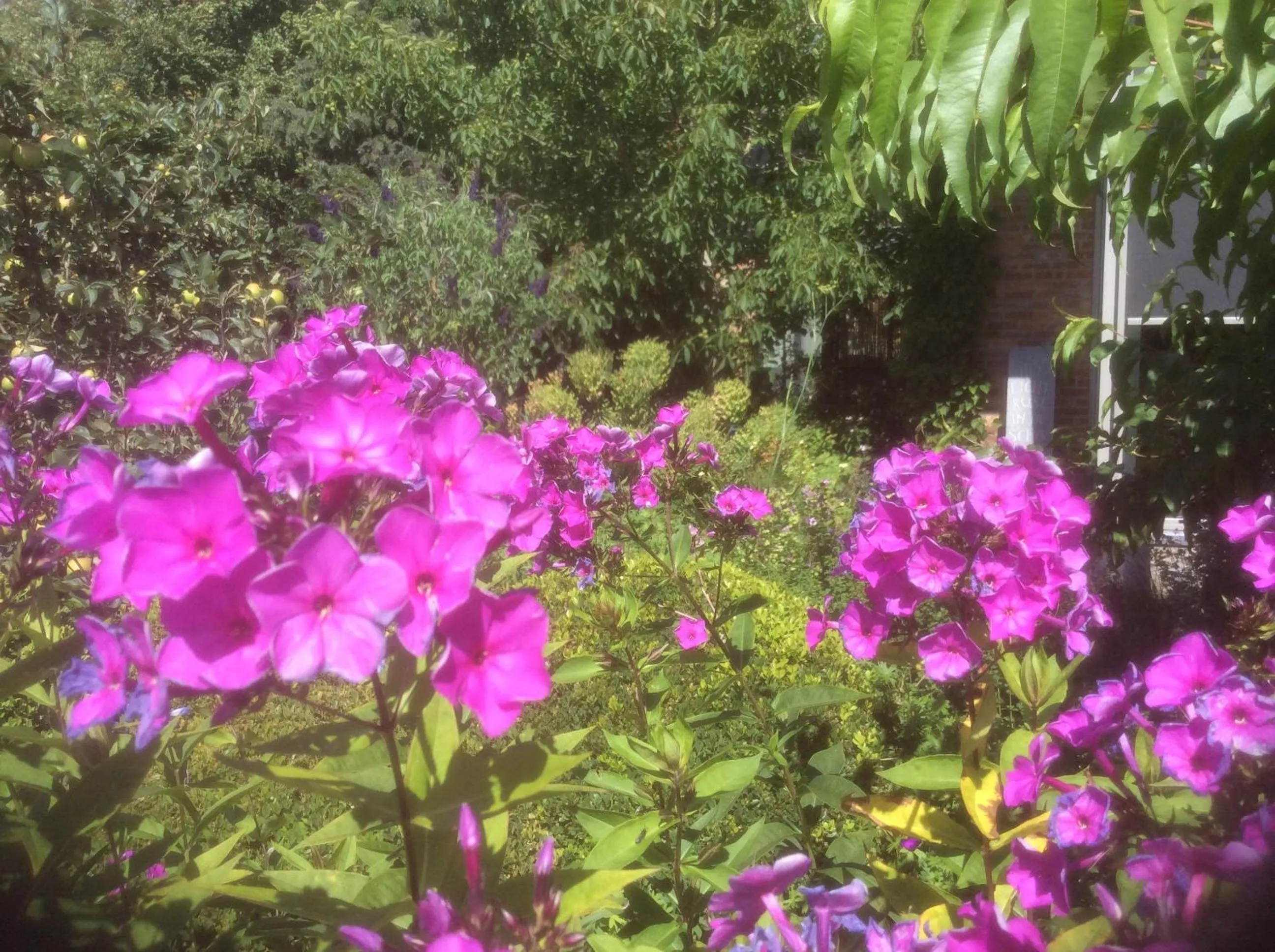 Garden in B&B De Kastanjeboom