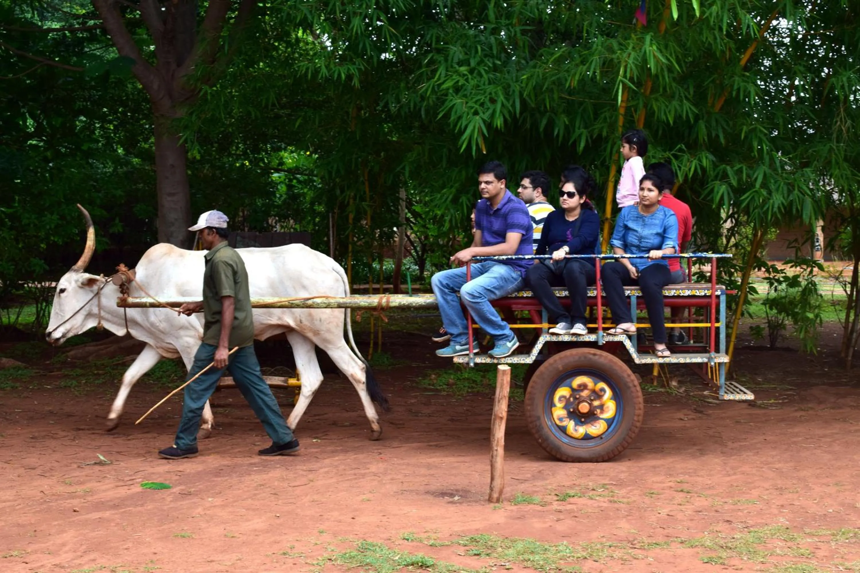 Activities in Our Native Village