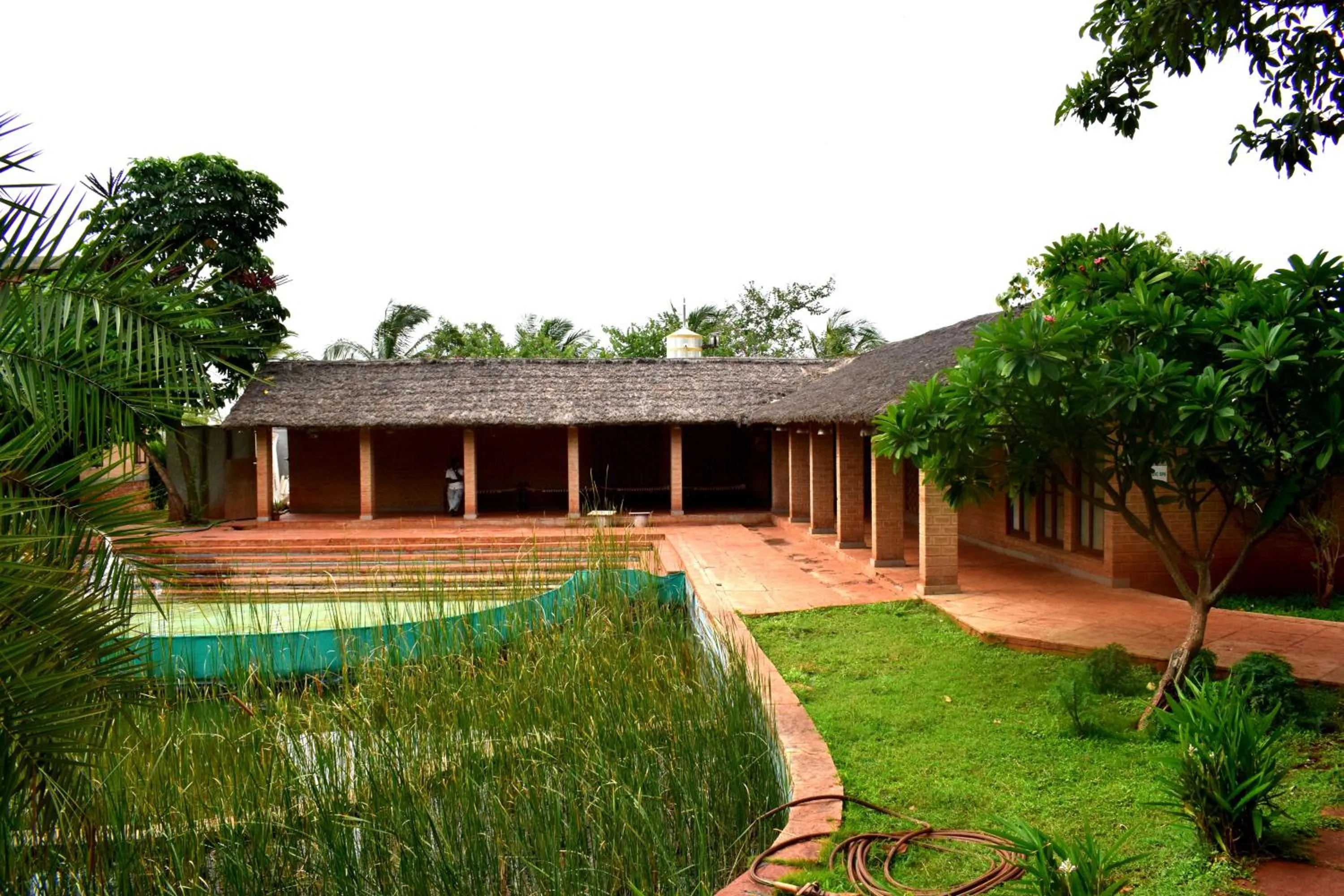 Garden in Our Native Village