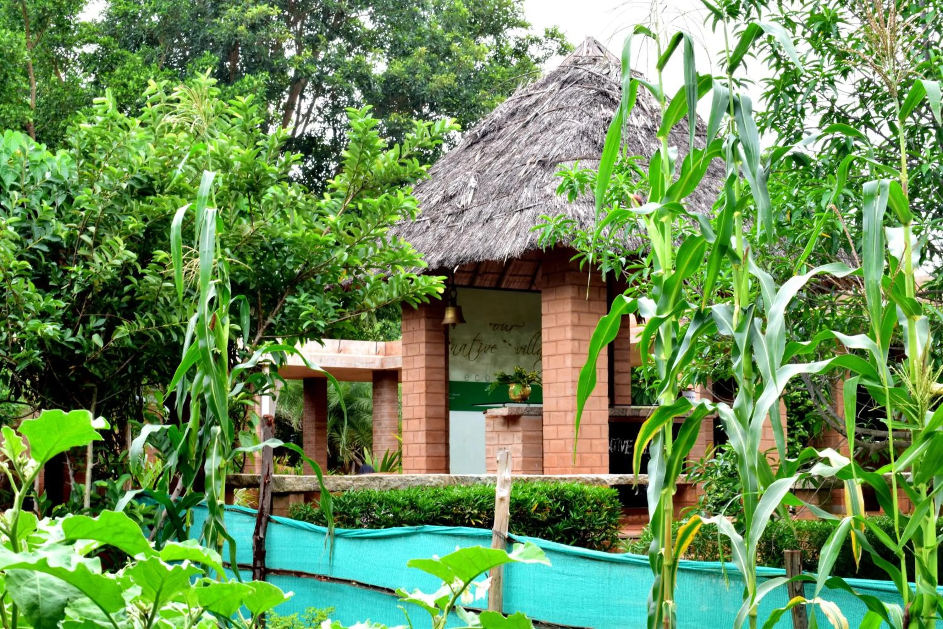 Property building in Our Native Village