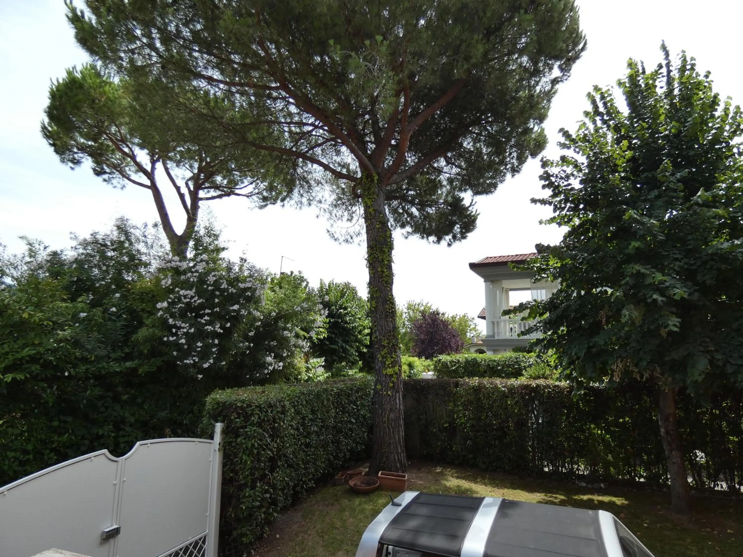 Villa Allende in Forte dei Marmi