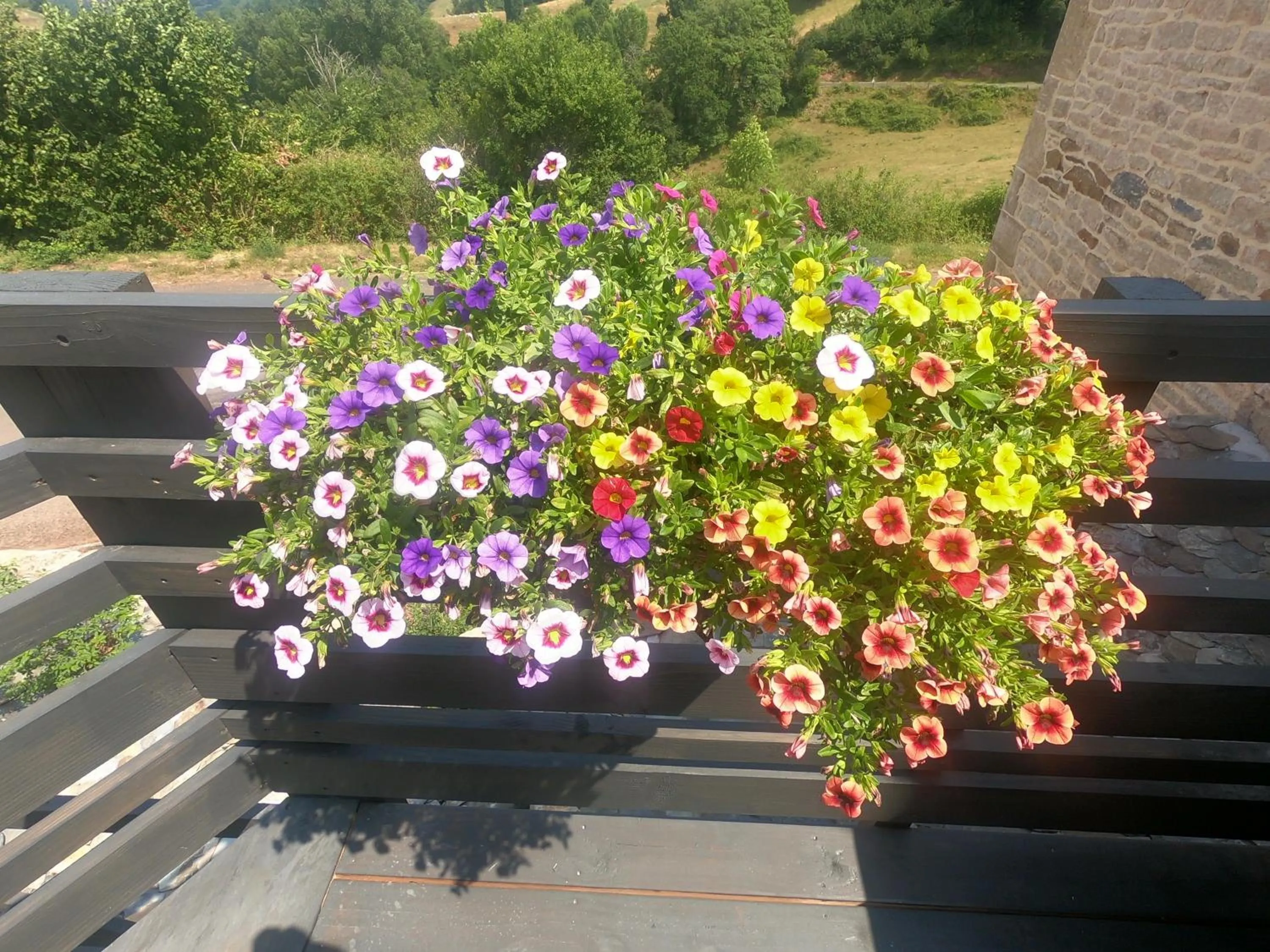 Property building in chambres d'hôtes le clos marty