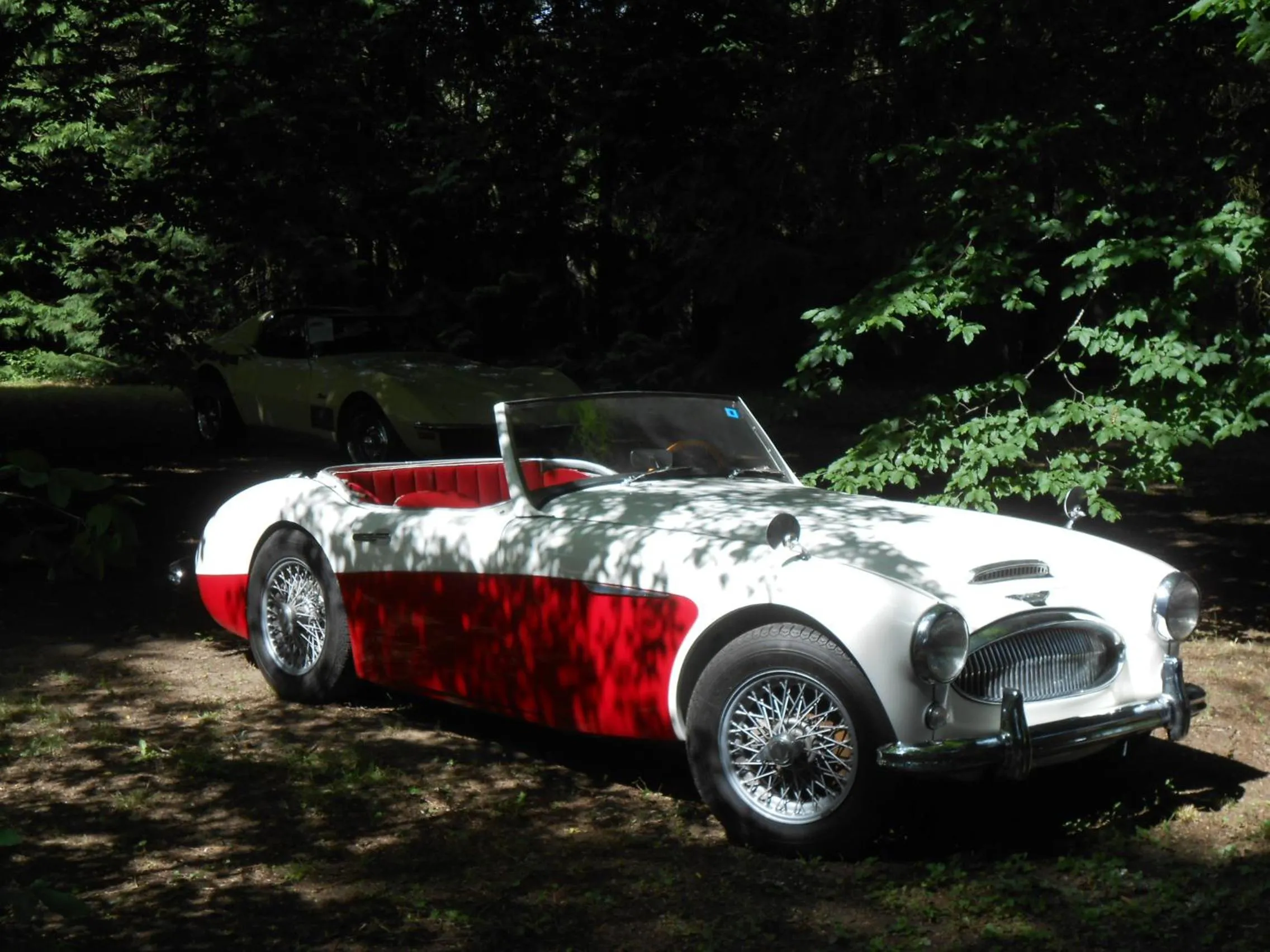 Other in La Passagere