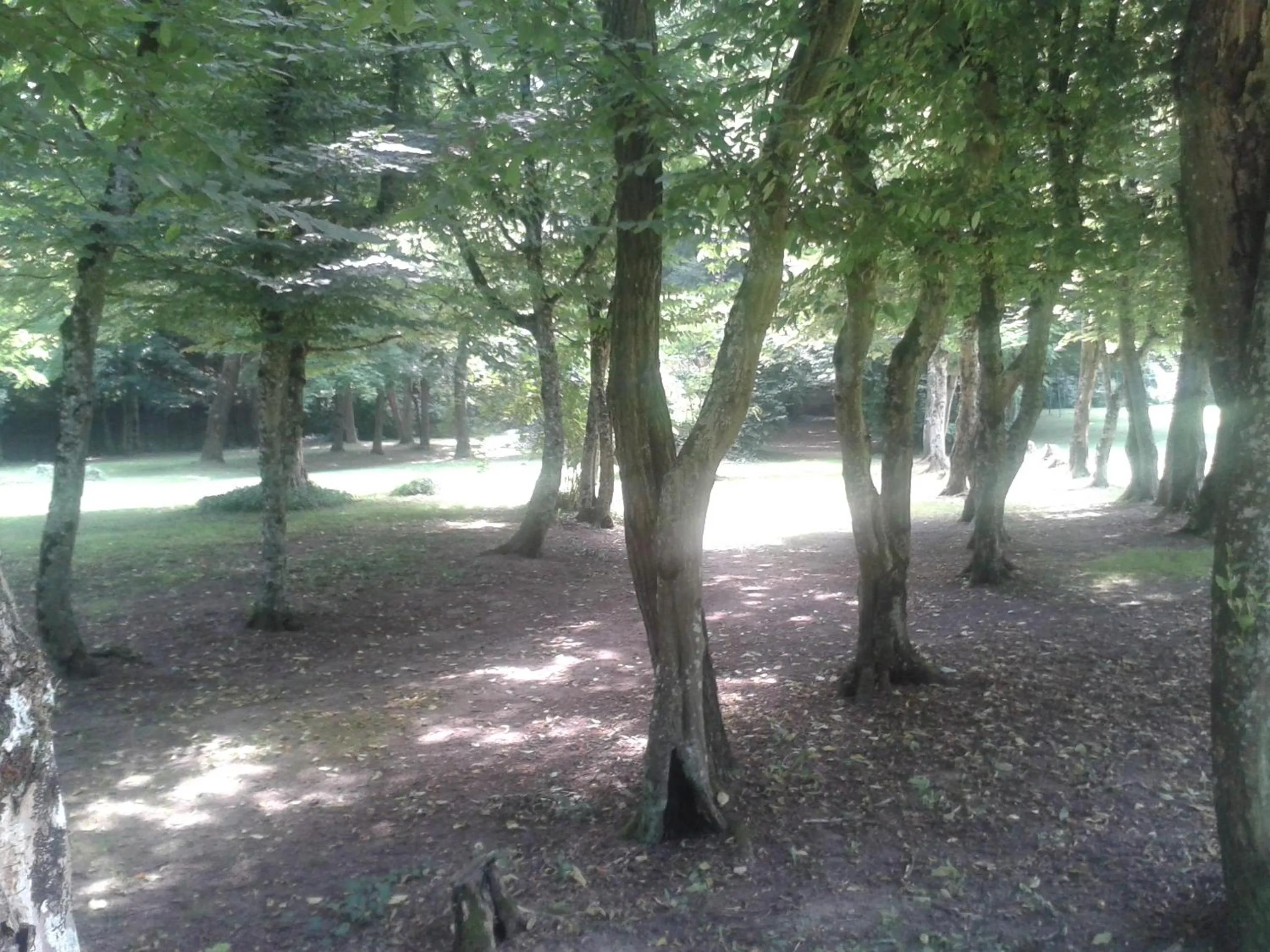 Garden in La Passagere