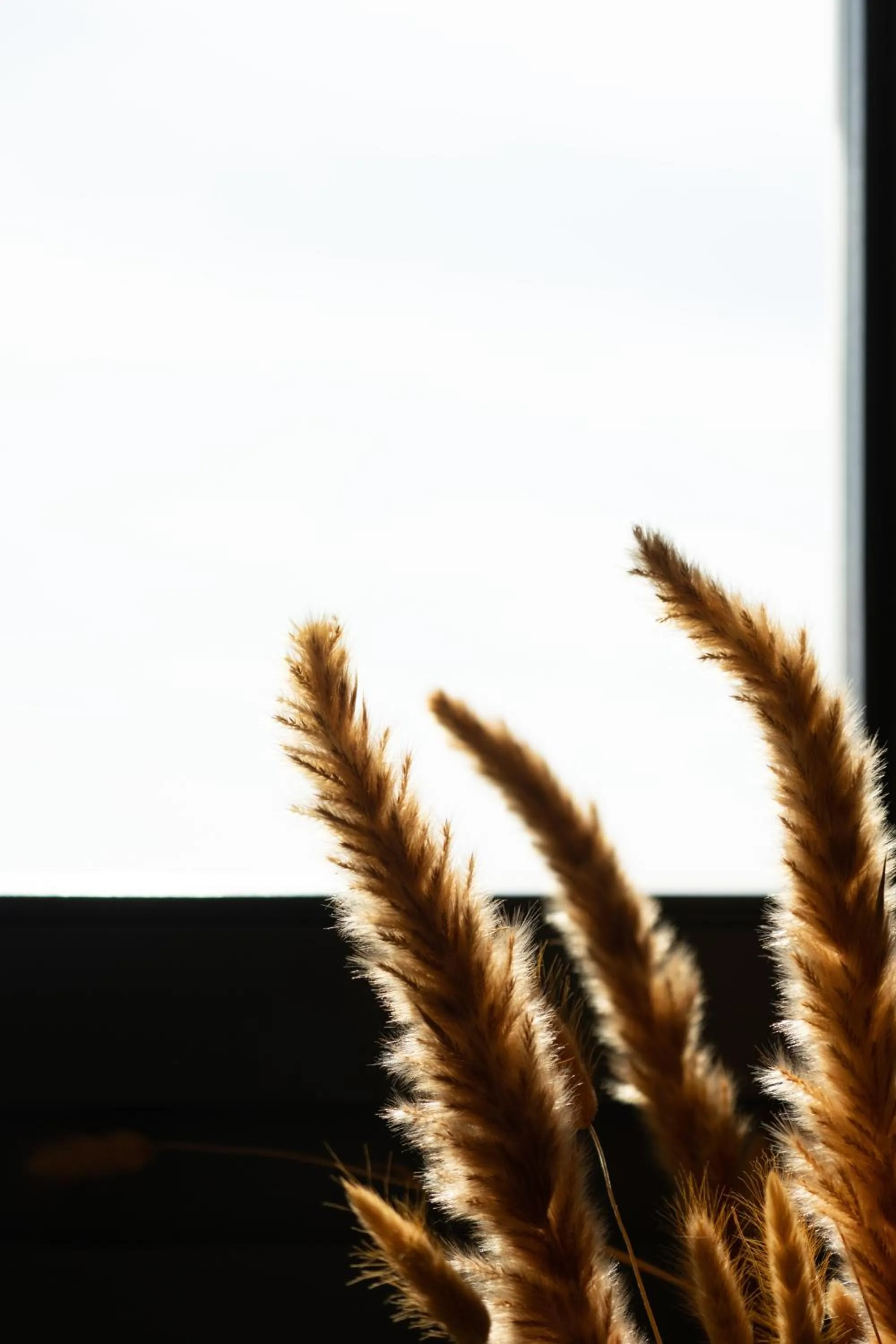 Decorative detail in Ikies of Mykonos