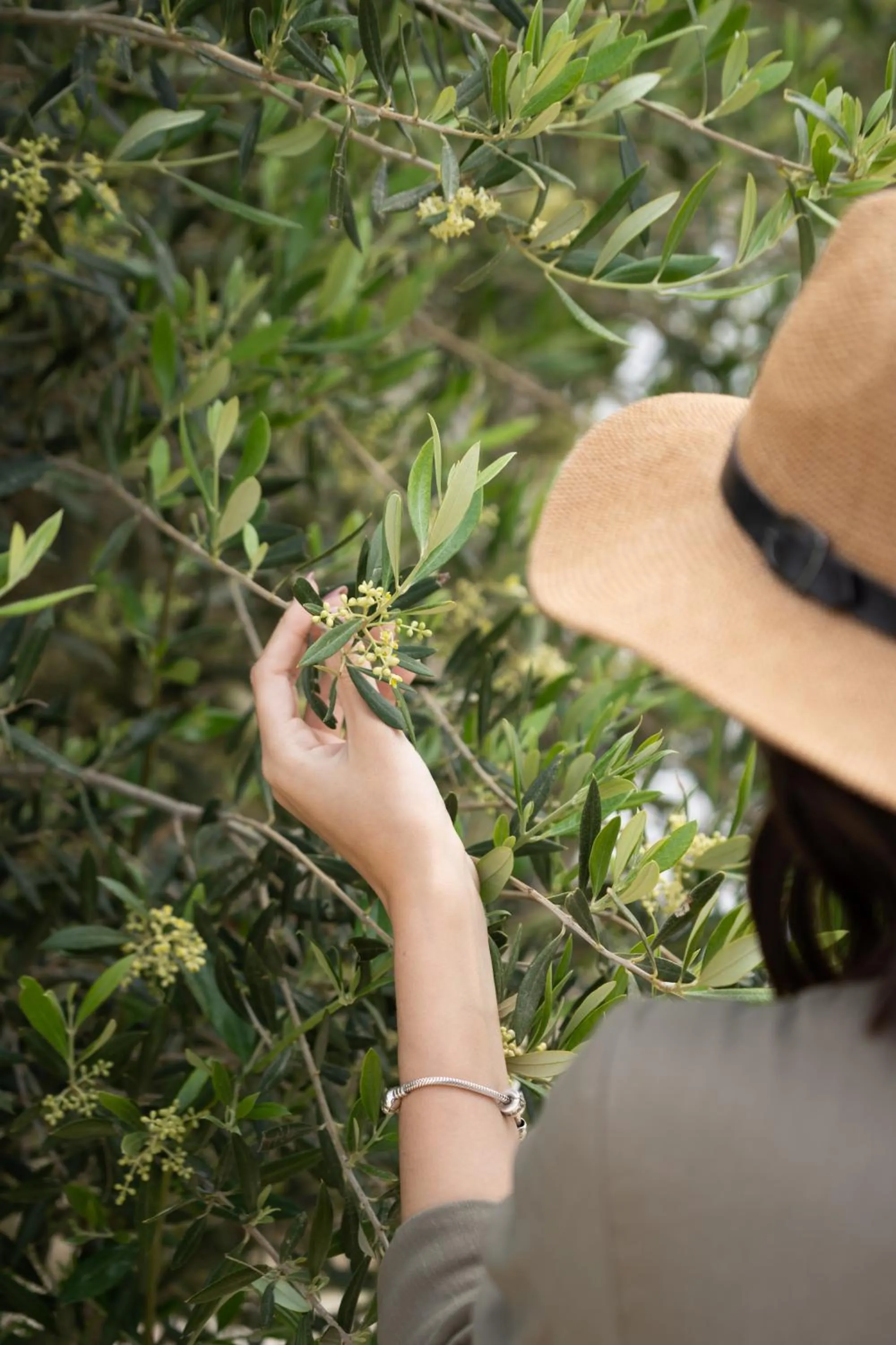 Patio in Ikies of Mykonos