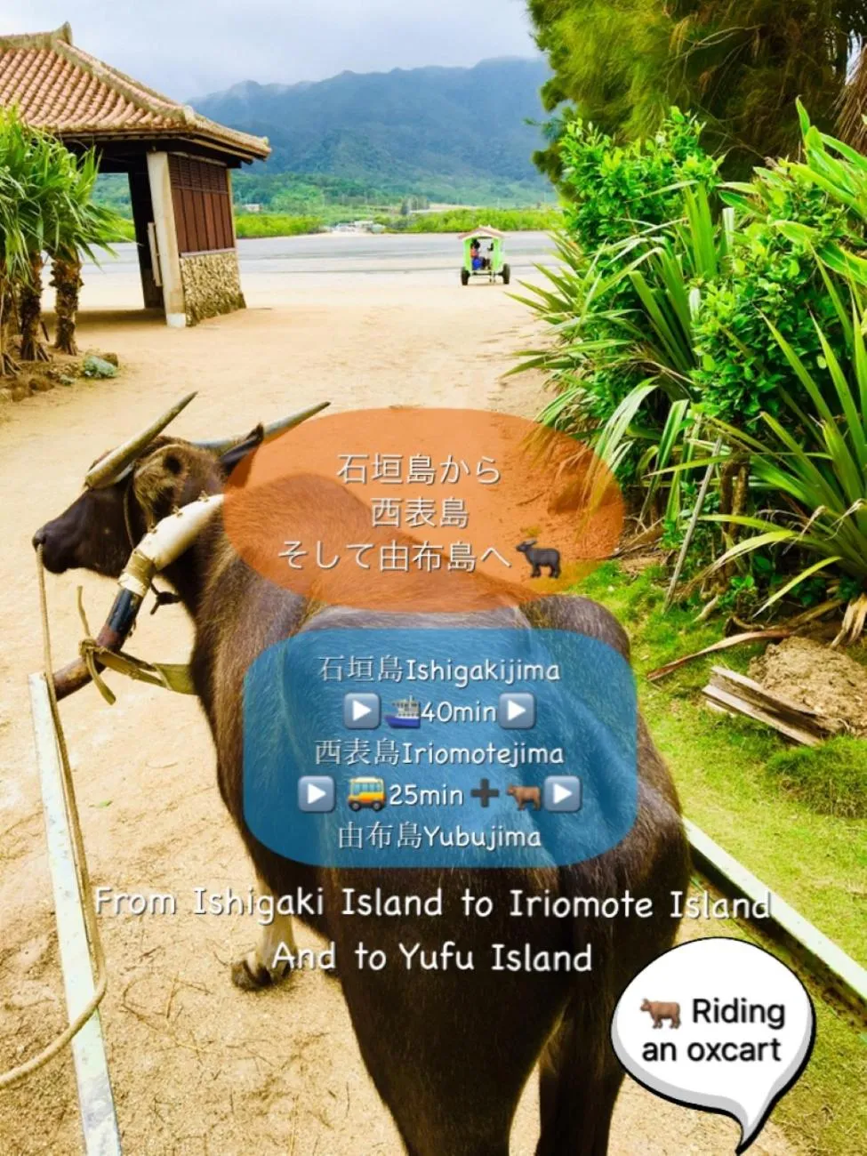 Off site in Hotel East China Sea