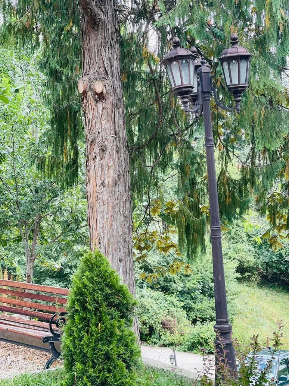 Garden in The Residence Hotel & Cottages