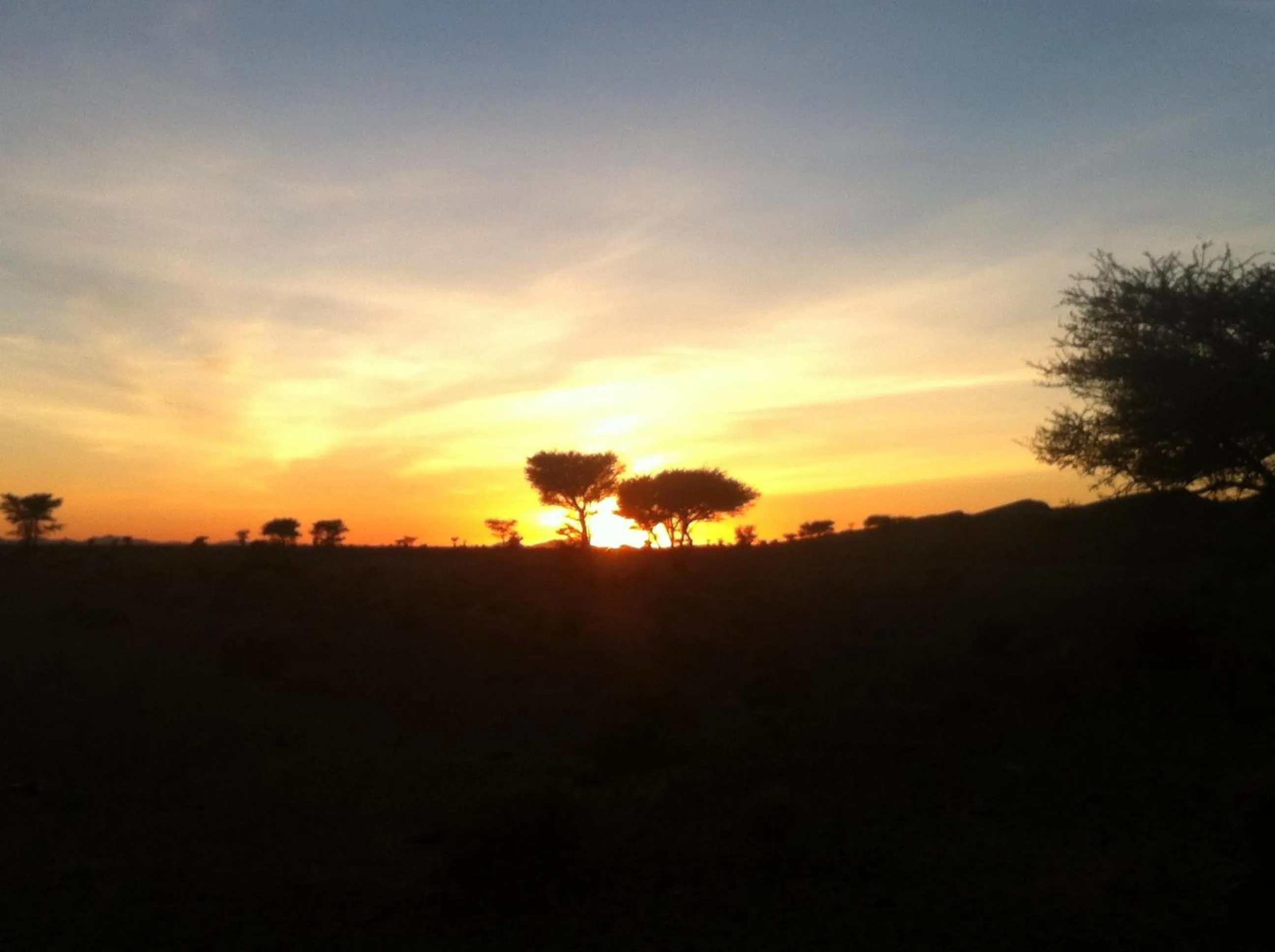 Area and facilities in Maison Boutchrafine