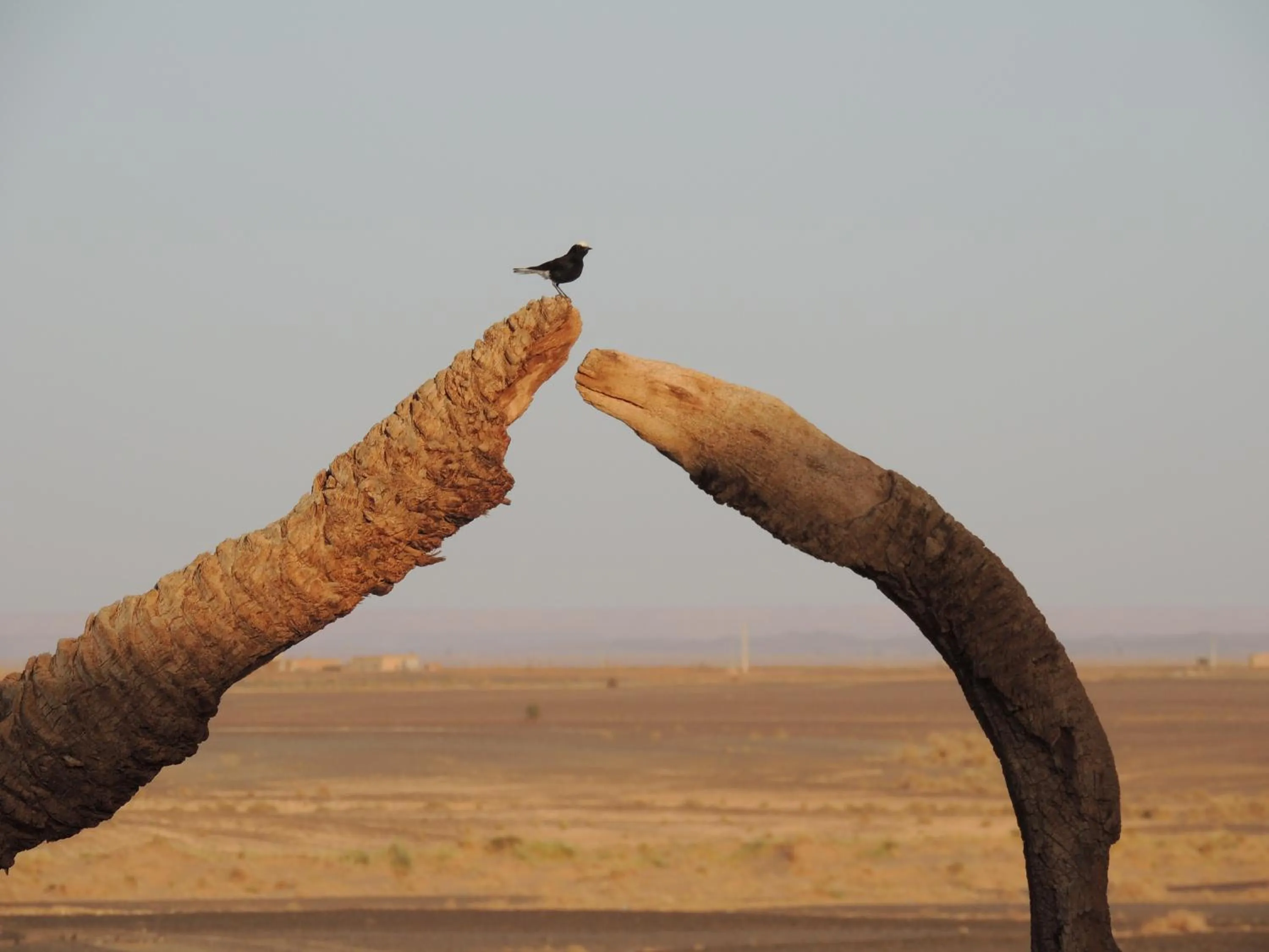 Decorative detail in Maison Boutchrafine
