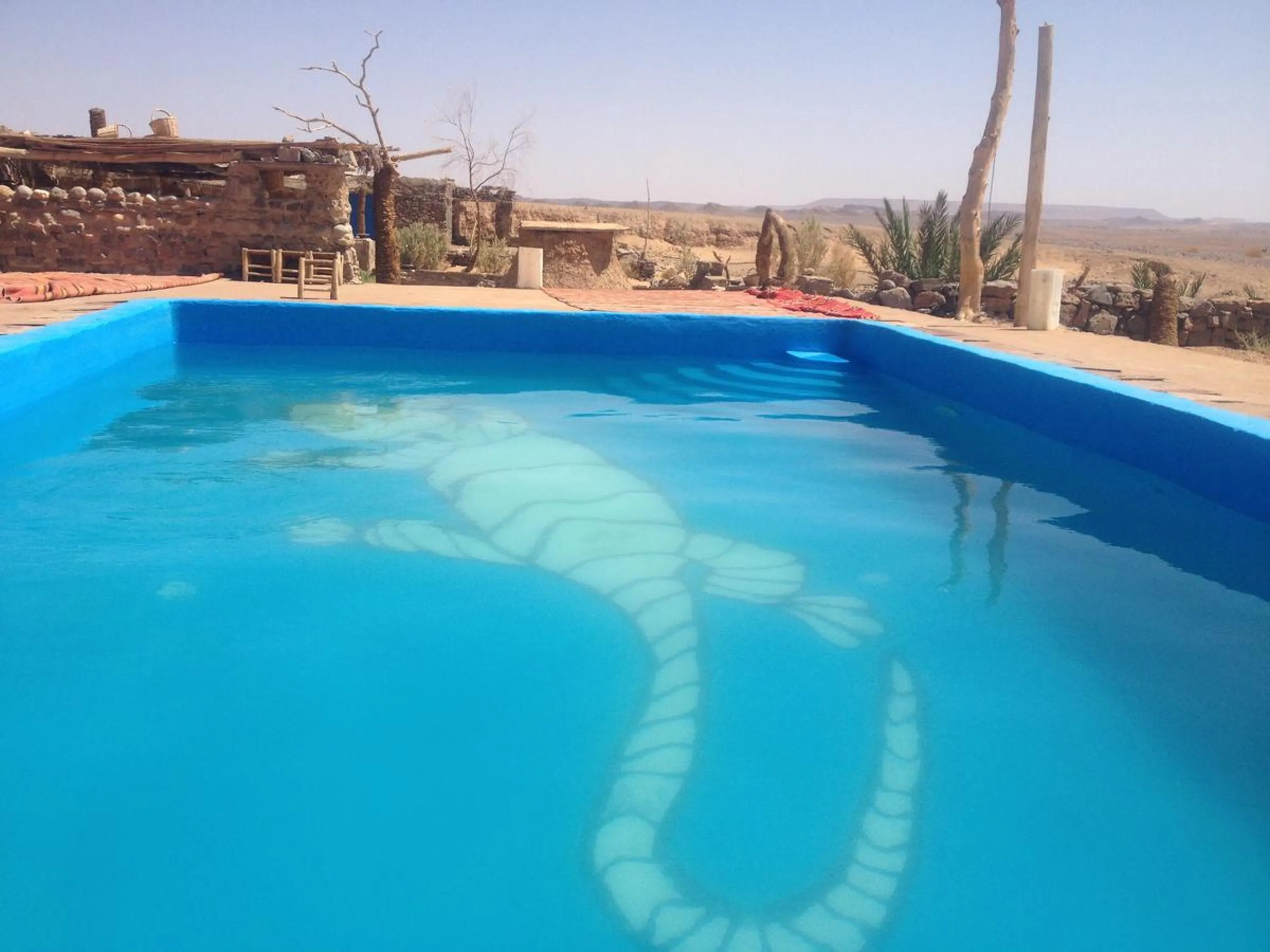 Balcony/Terrace in Maison Boutchrafine