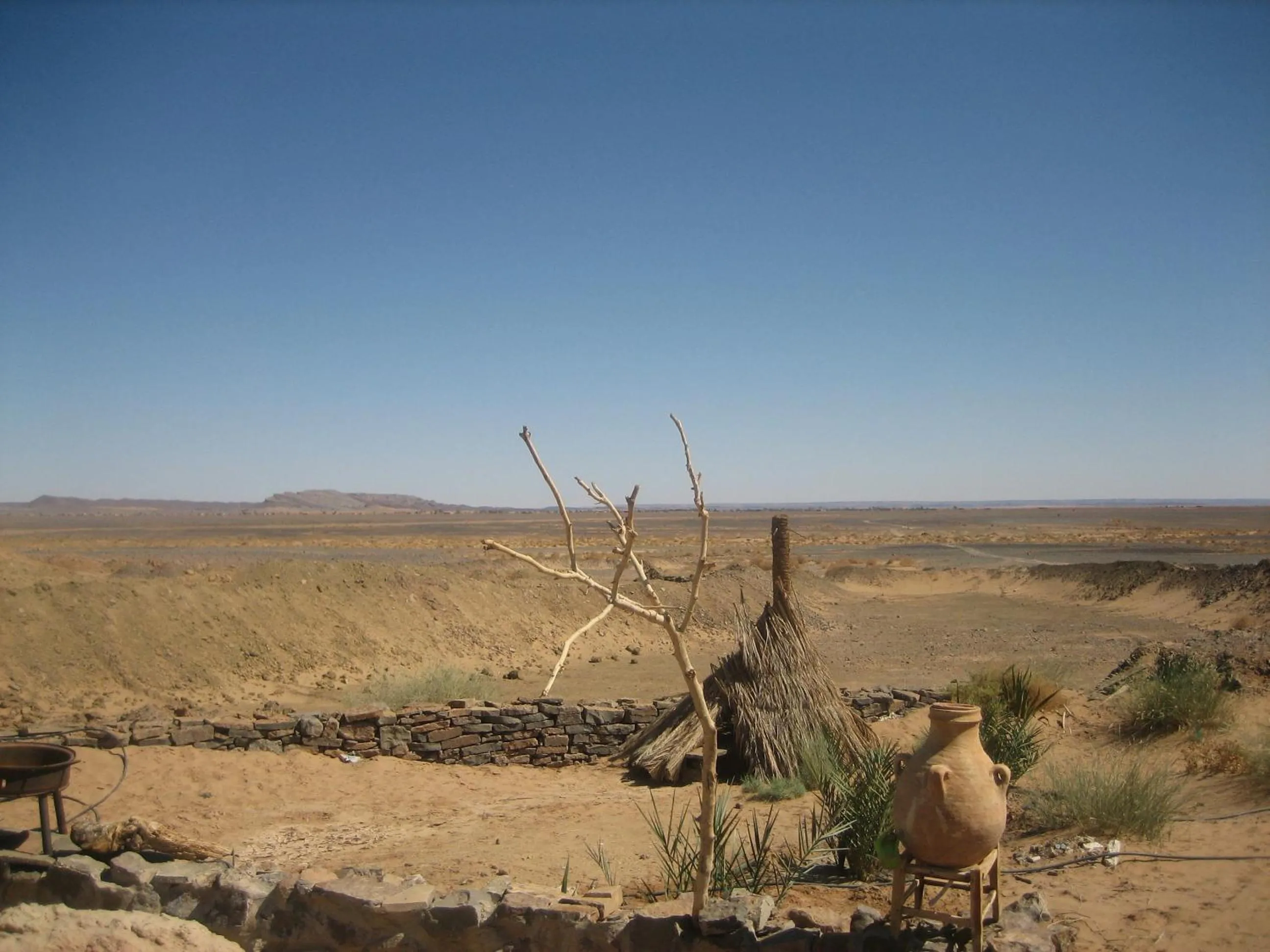 Garden in Maison Boutchrafine