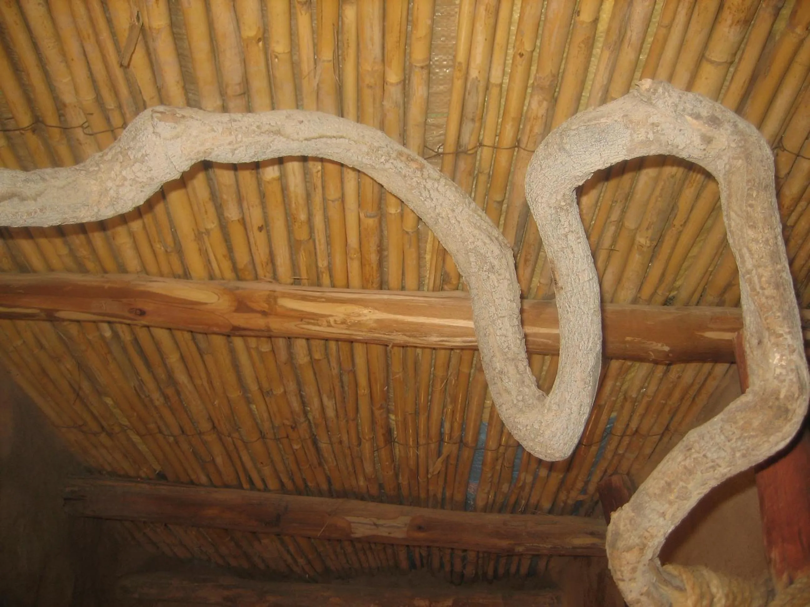 Decorative detail in Maison Boutchrafine