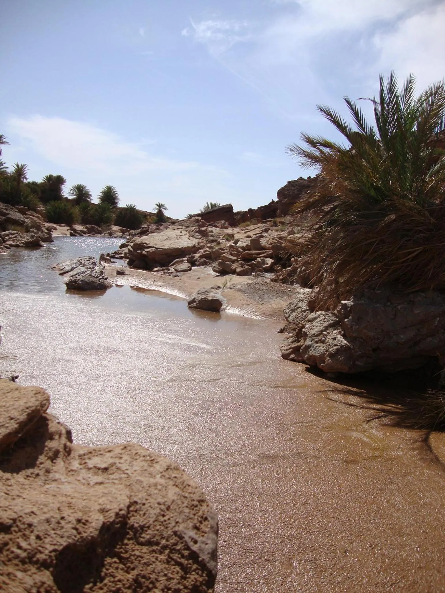 Area and facilities in Maison Boutchrafine