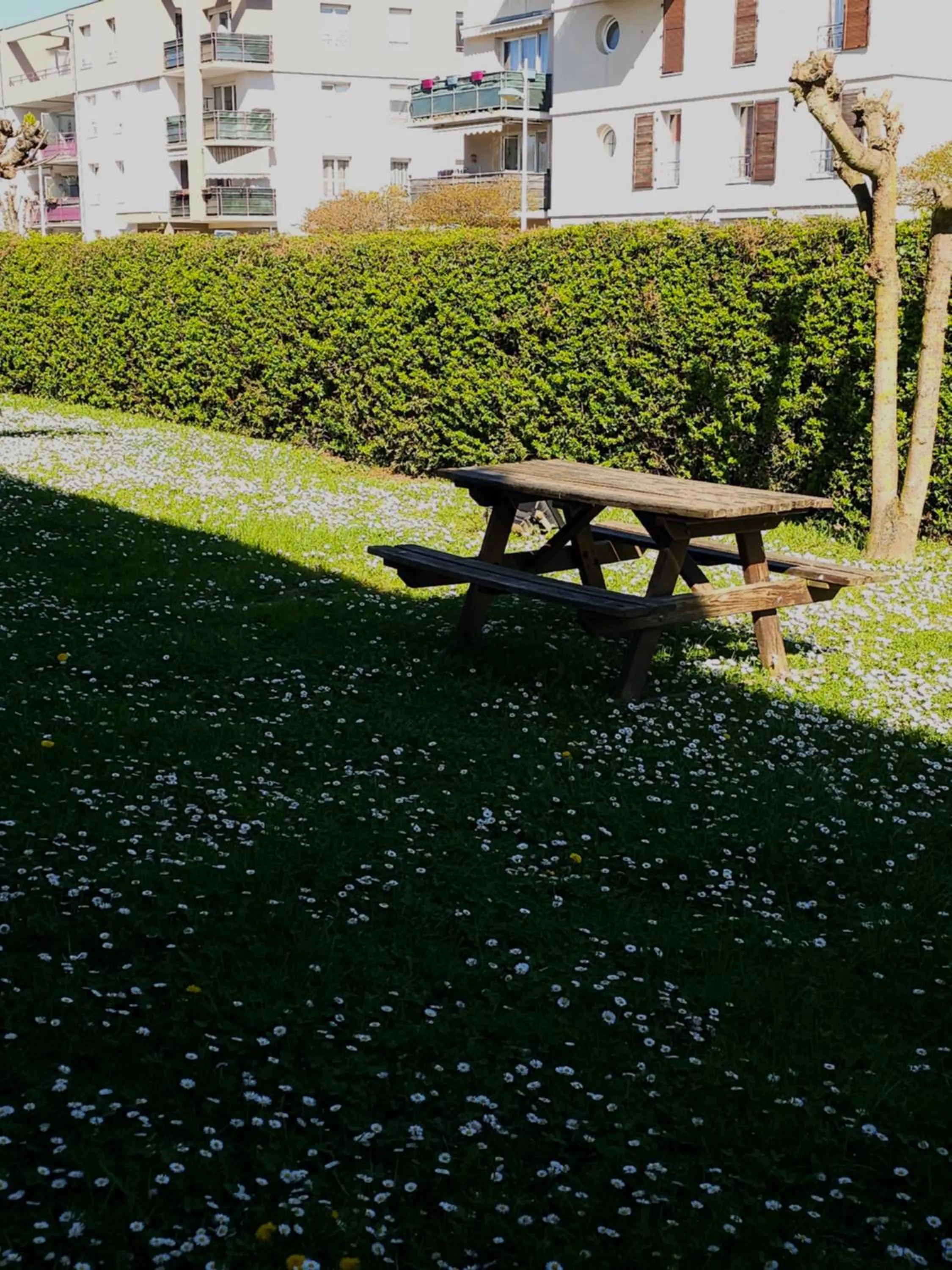 Garden in Premiere Classe Strasbourg Ouest