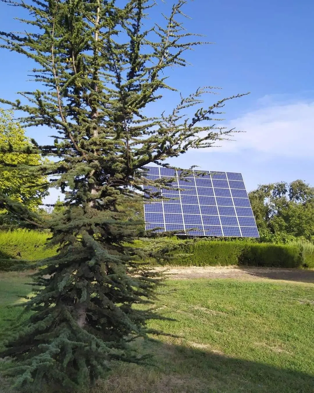 Property building in Pizzacalla