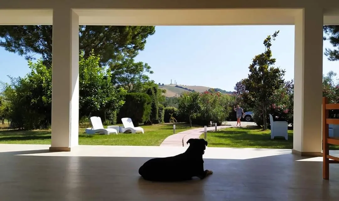 Garden in Pizzacalla