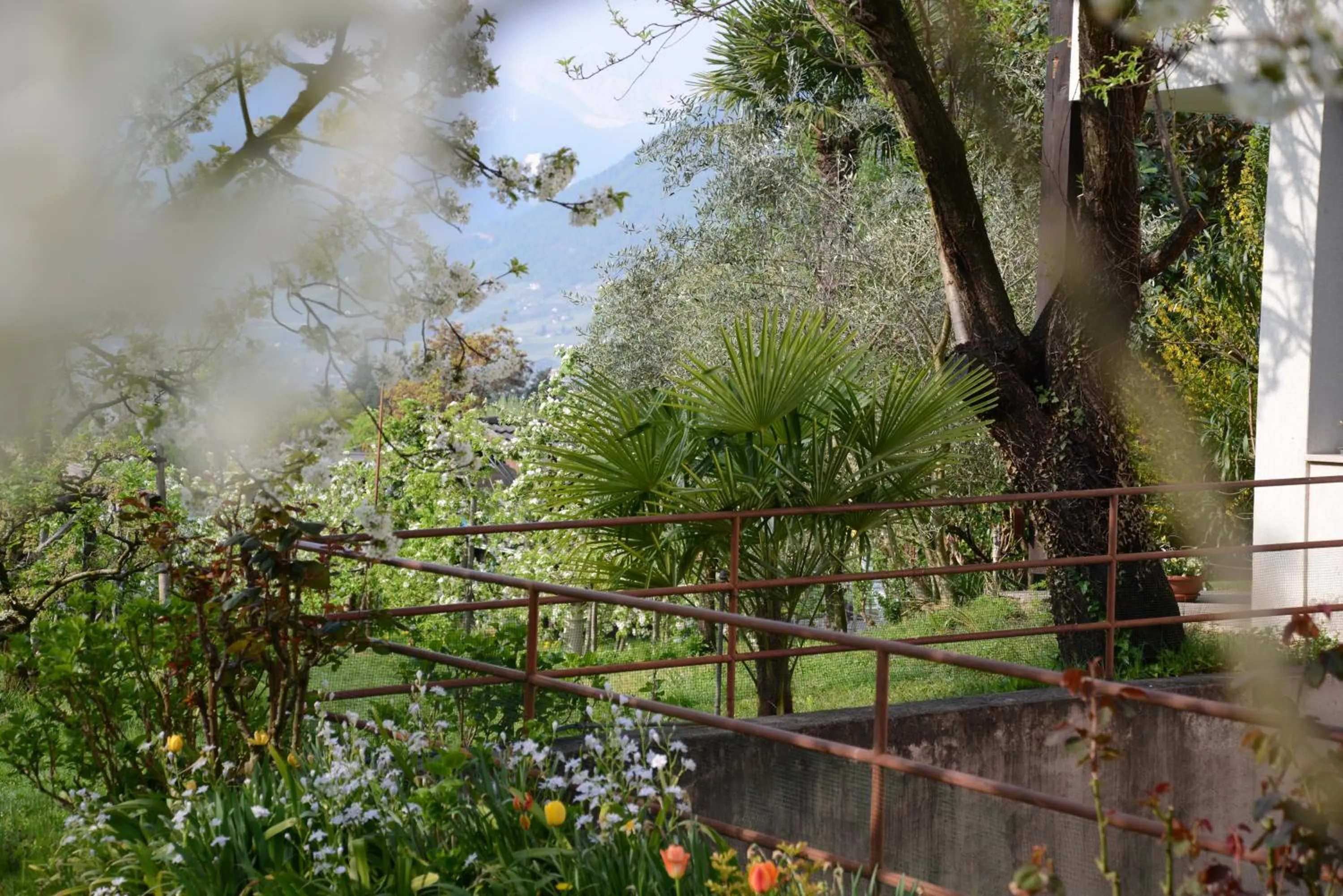 Spring in Hotel Tannerhof