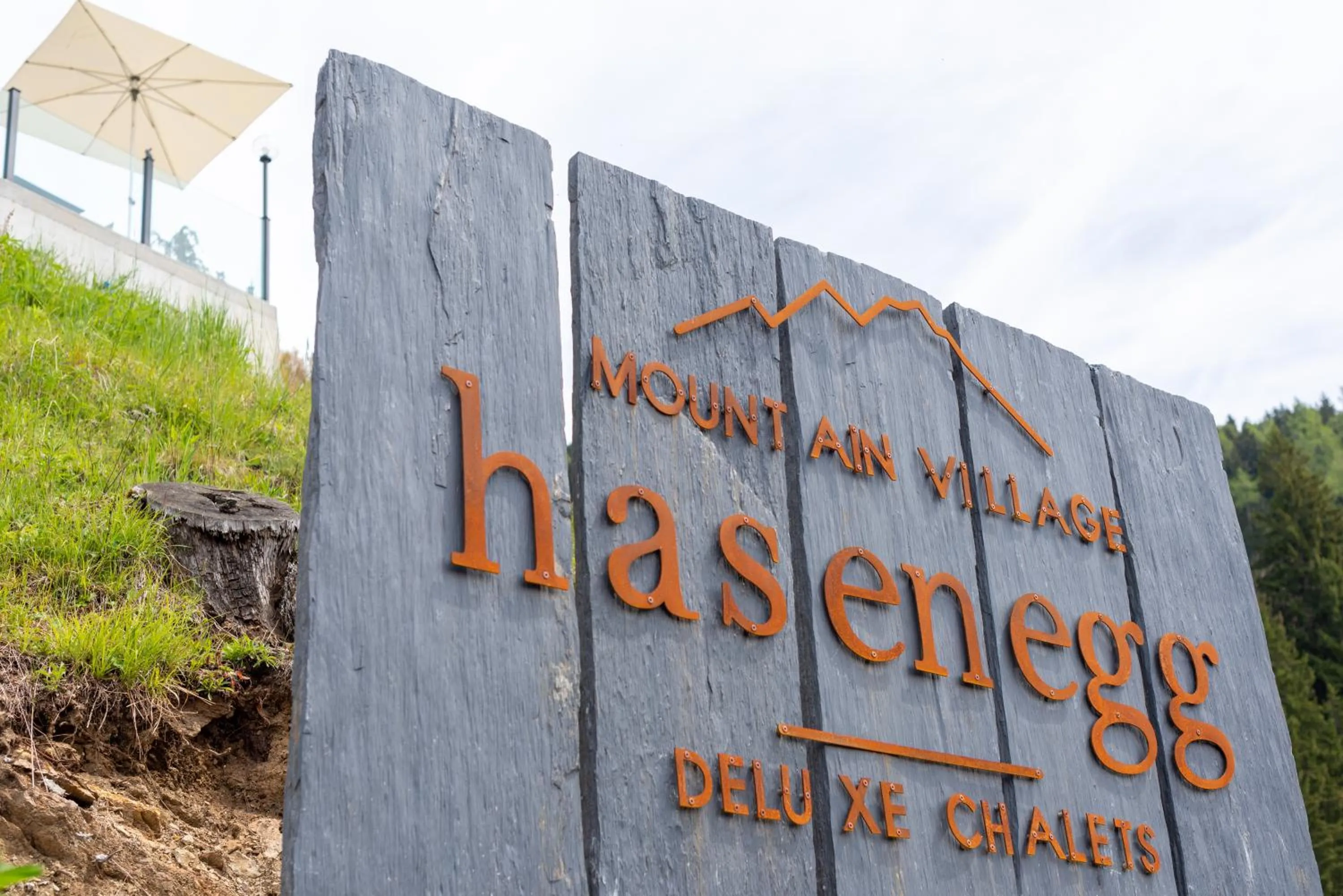 Property logo or sign in Mountain Village Hasenegg