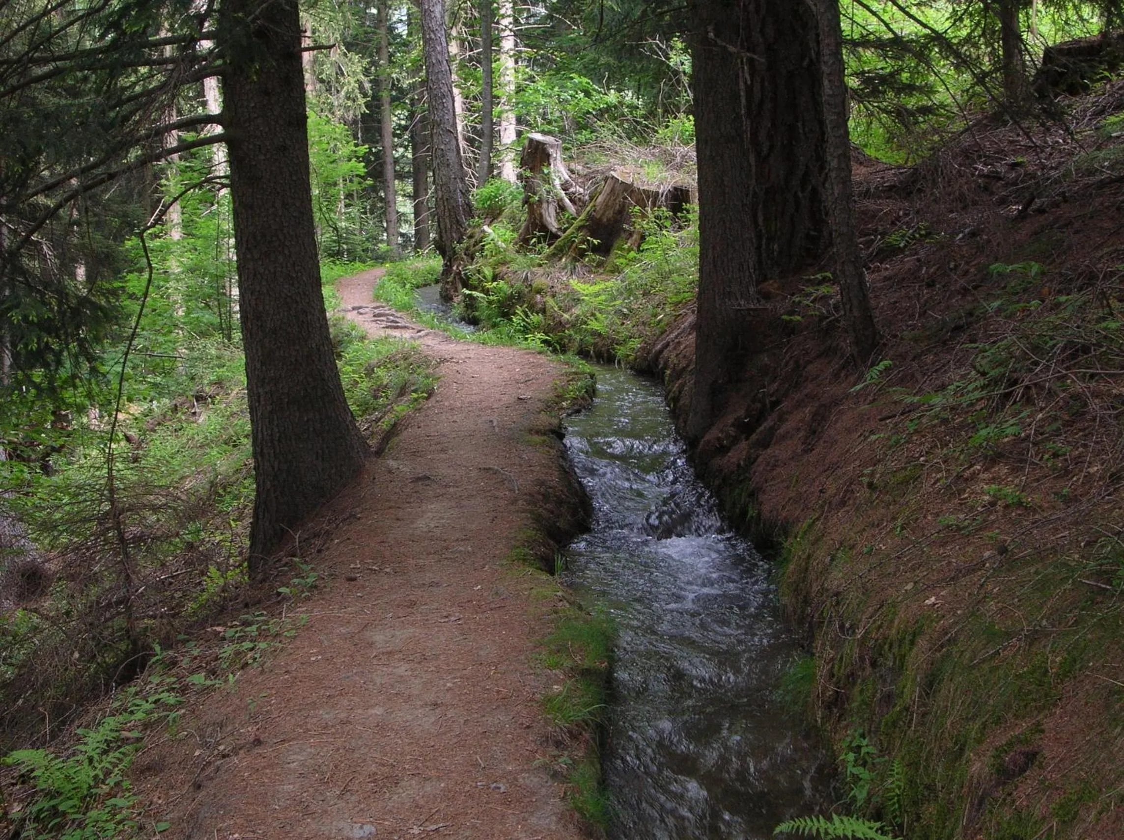 Hiking in Mountain Village Hasenegg