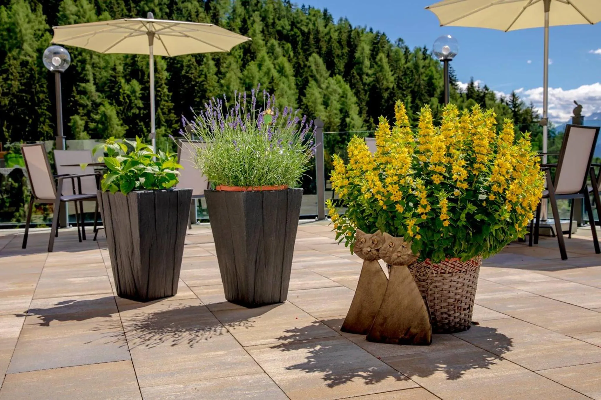 Garden in Mountain Village Hasenegg