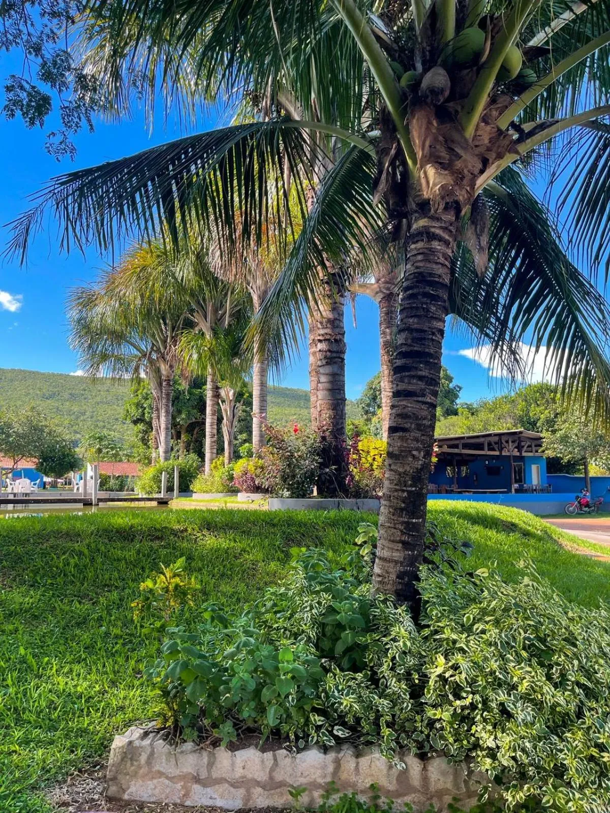 Garden in Pousada Bom Jardim