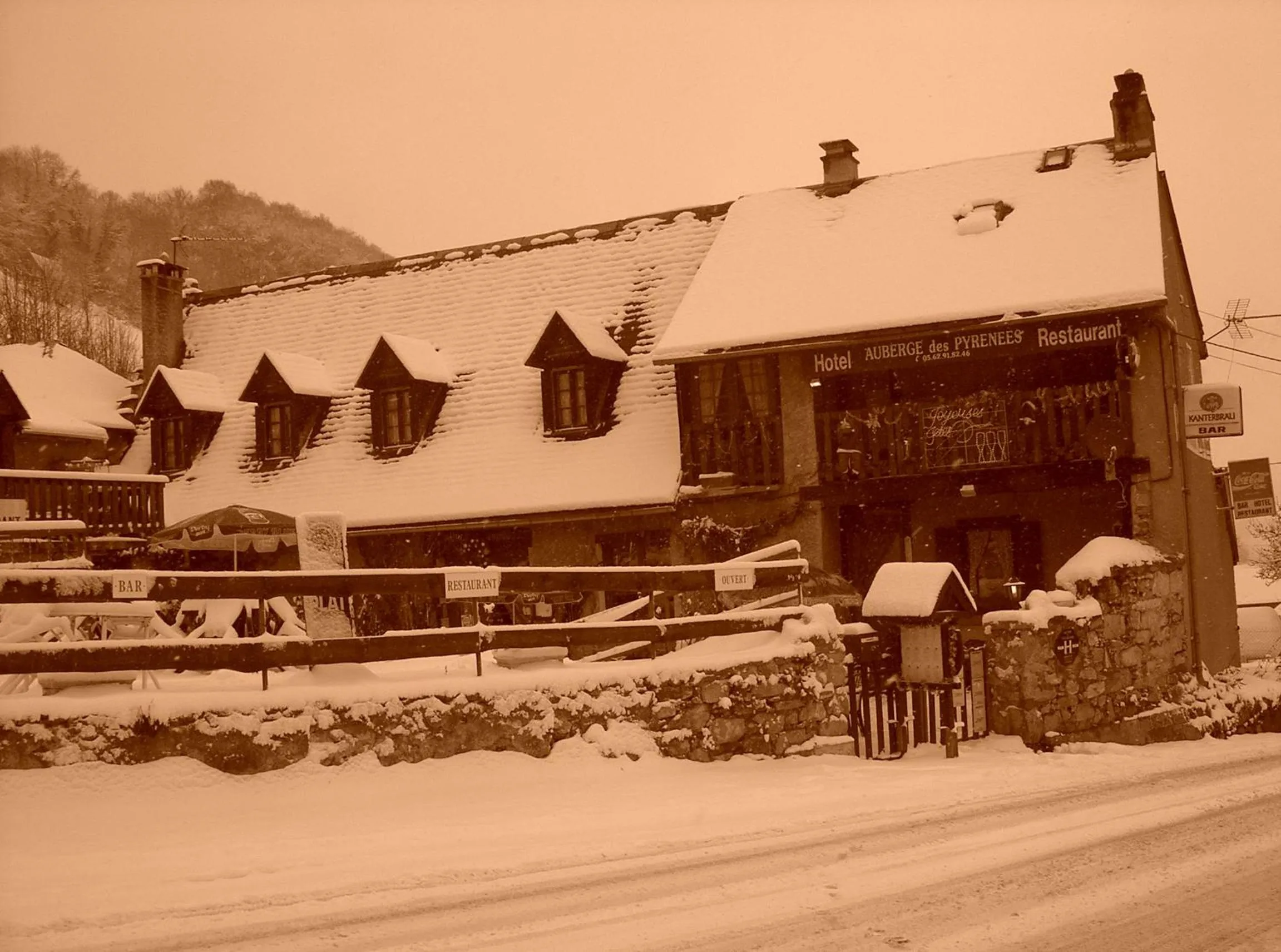 Area and facilities in Auberge des Pyrénées