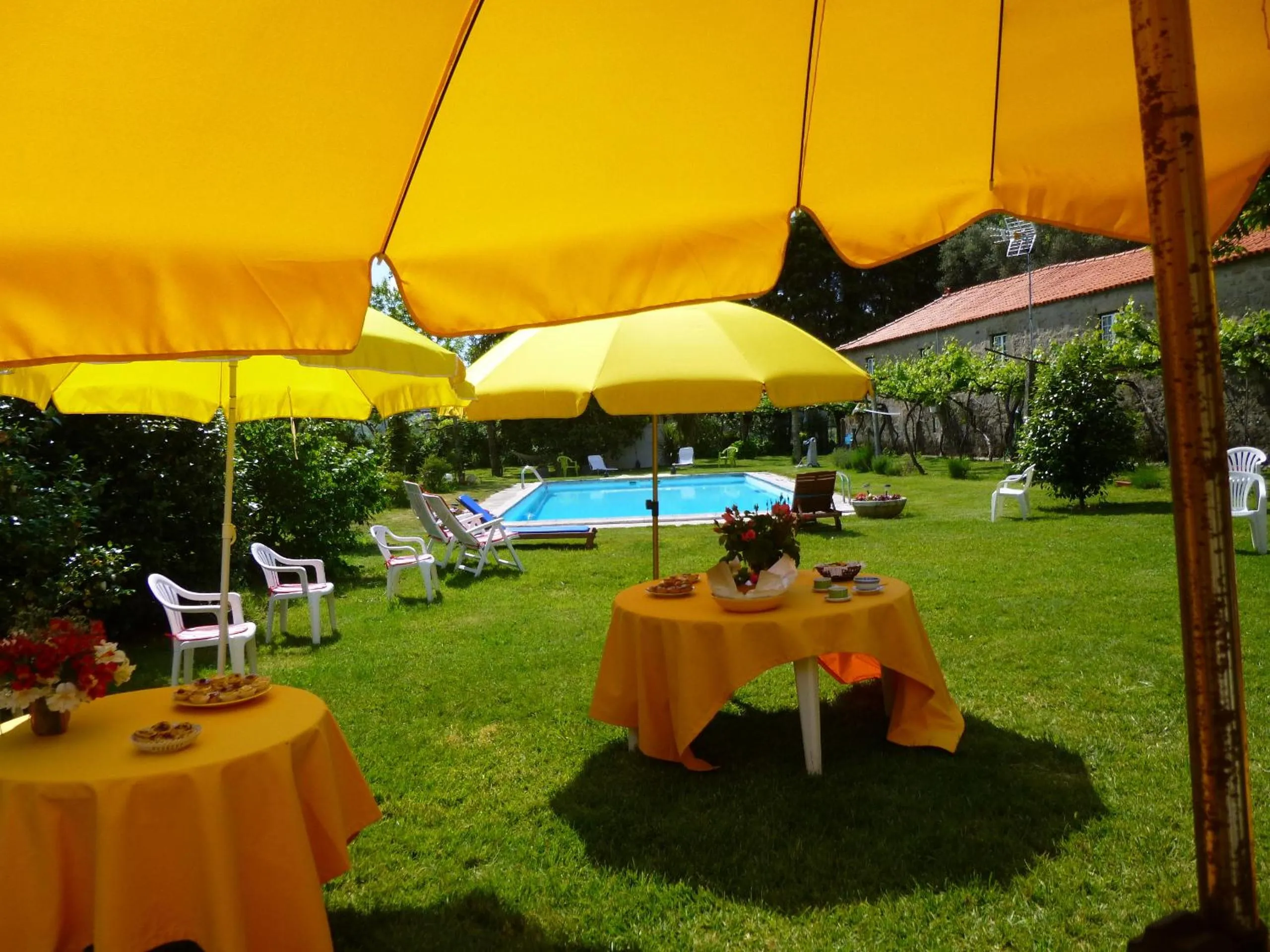 Garden in Quinta de Santa Baia