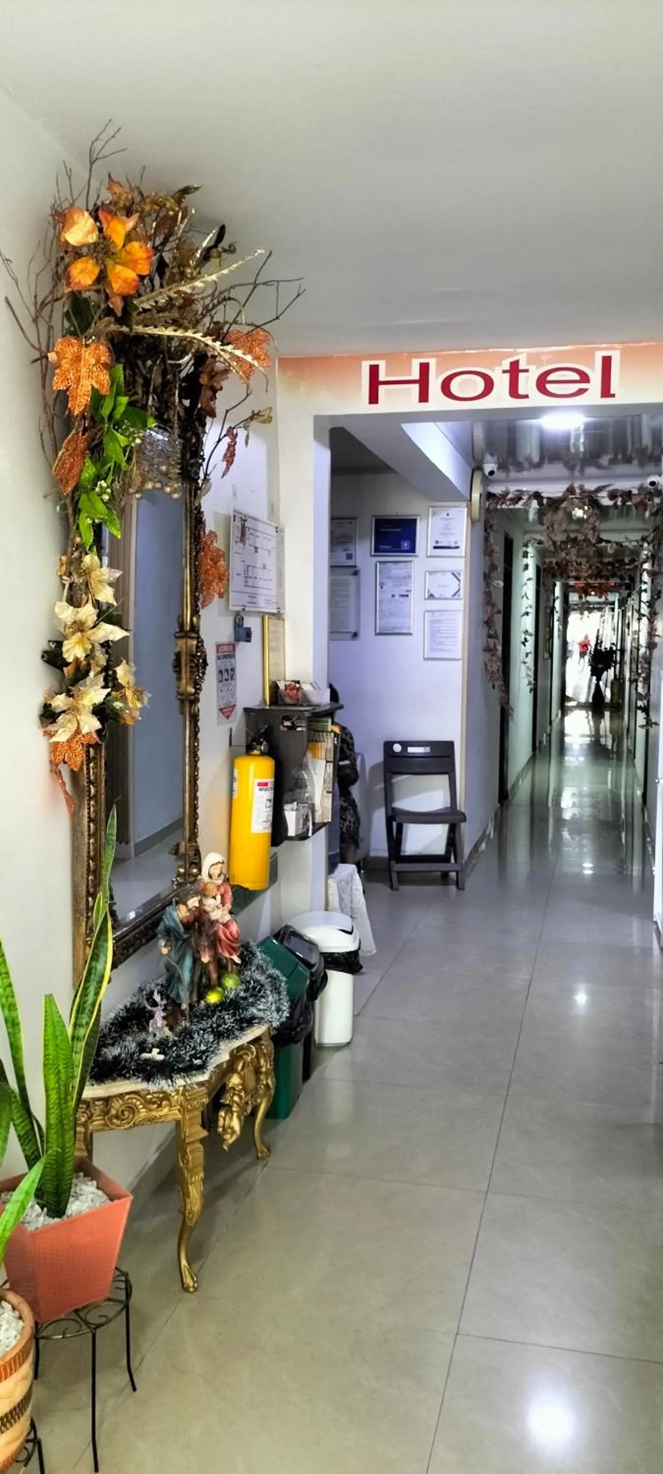 Hotel plaza centro
