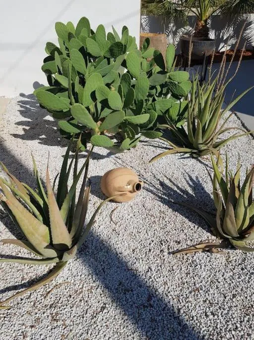 Garden in Mira Living Concept Suites Adults Only