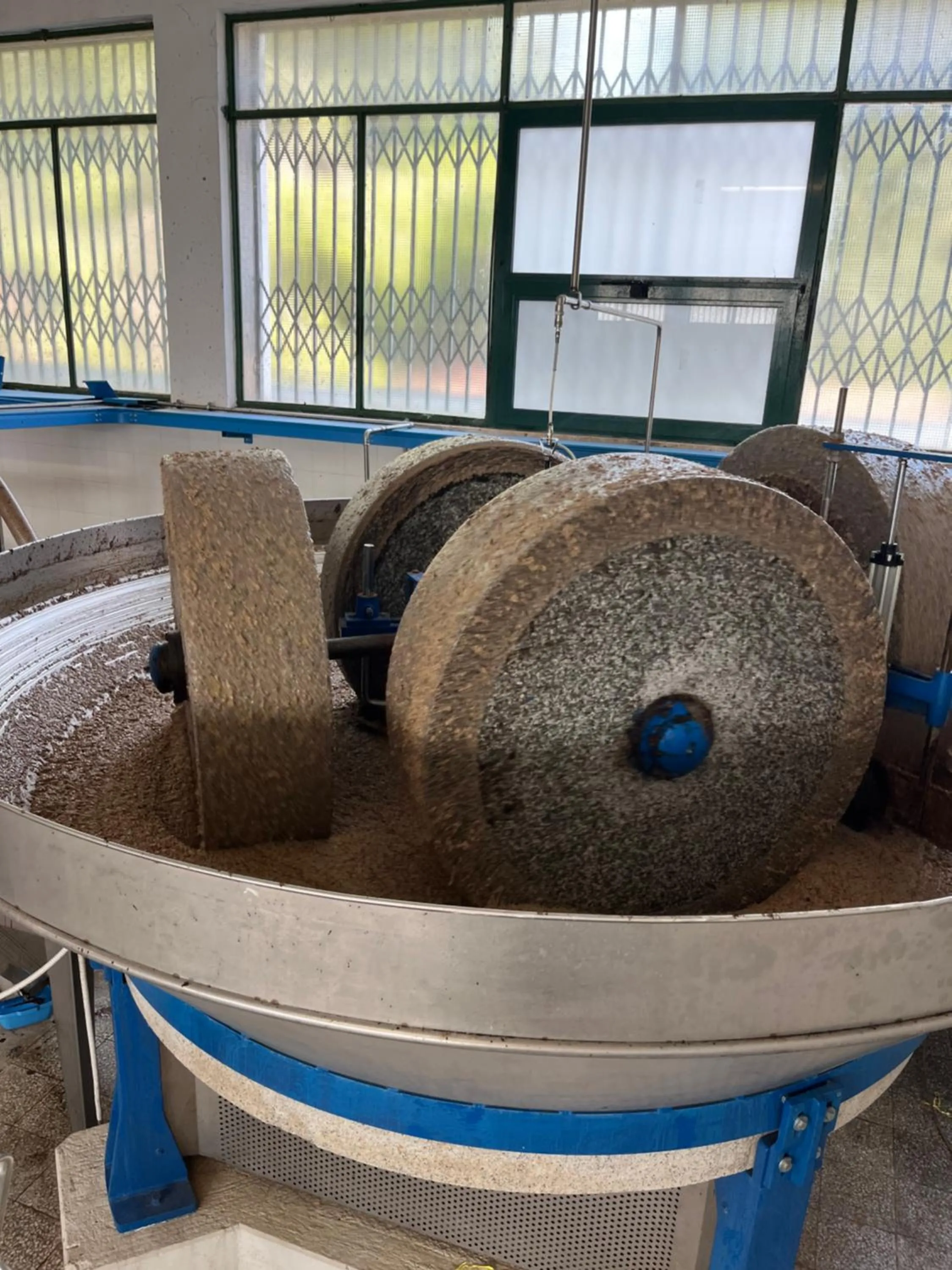 B&B Villa Mediterranea with parking space