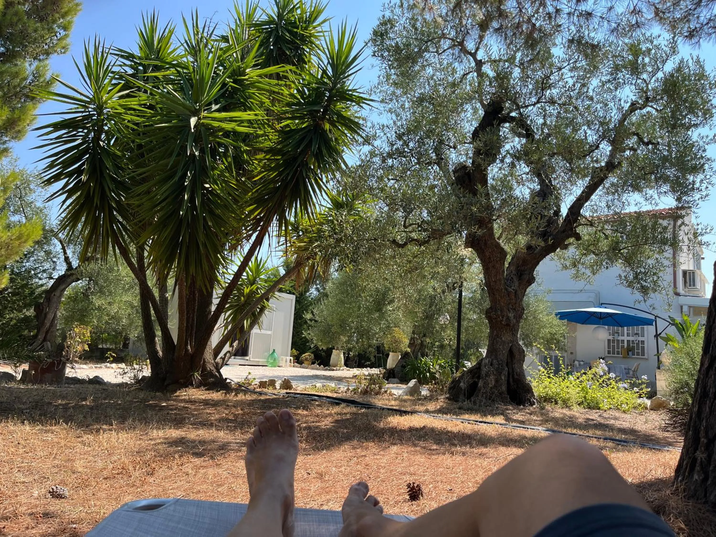 B&B Villa Mediterranea with parking space