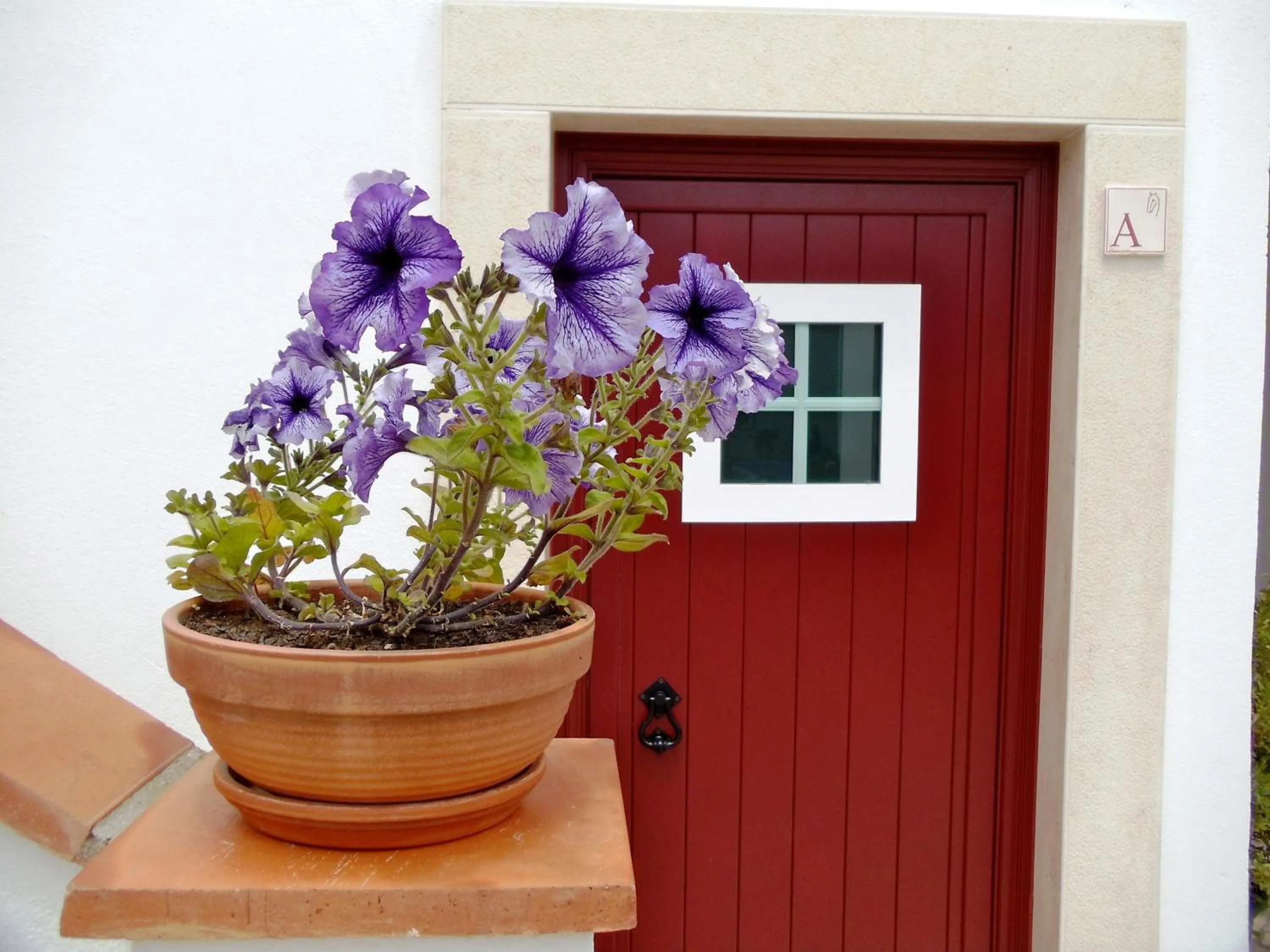 View (from property/room) in Casa do Largo - Golegã - Turismo de Habitação