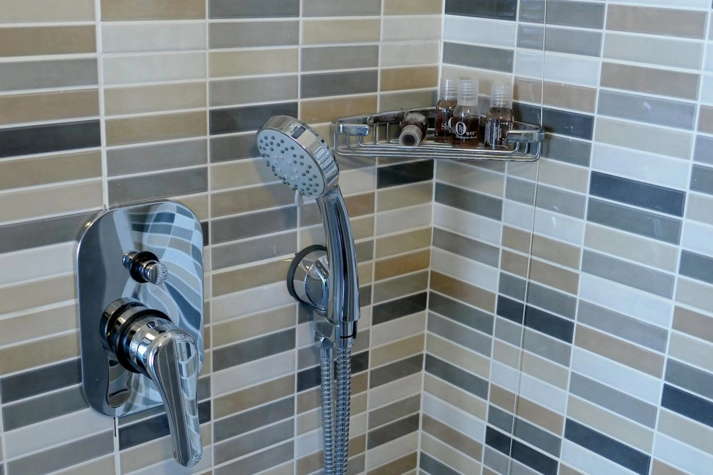 Shower in Hotel Désirée