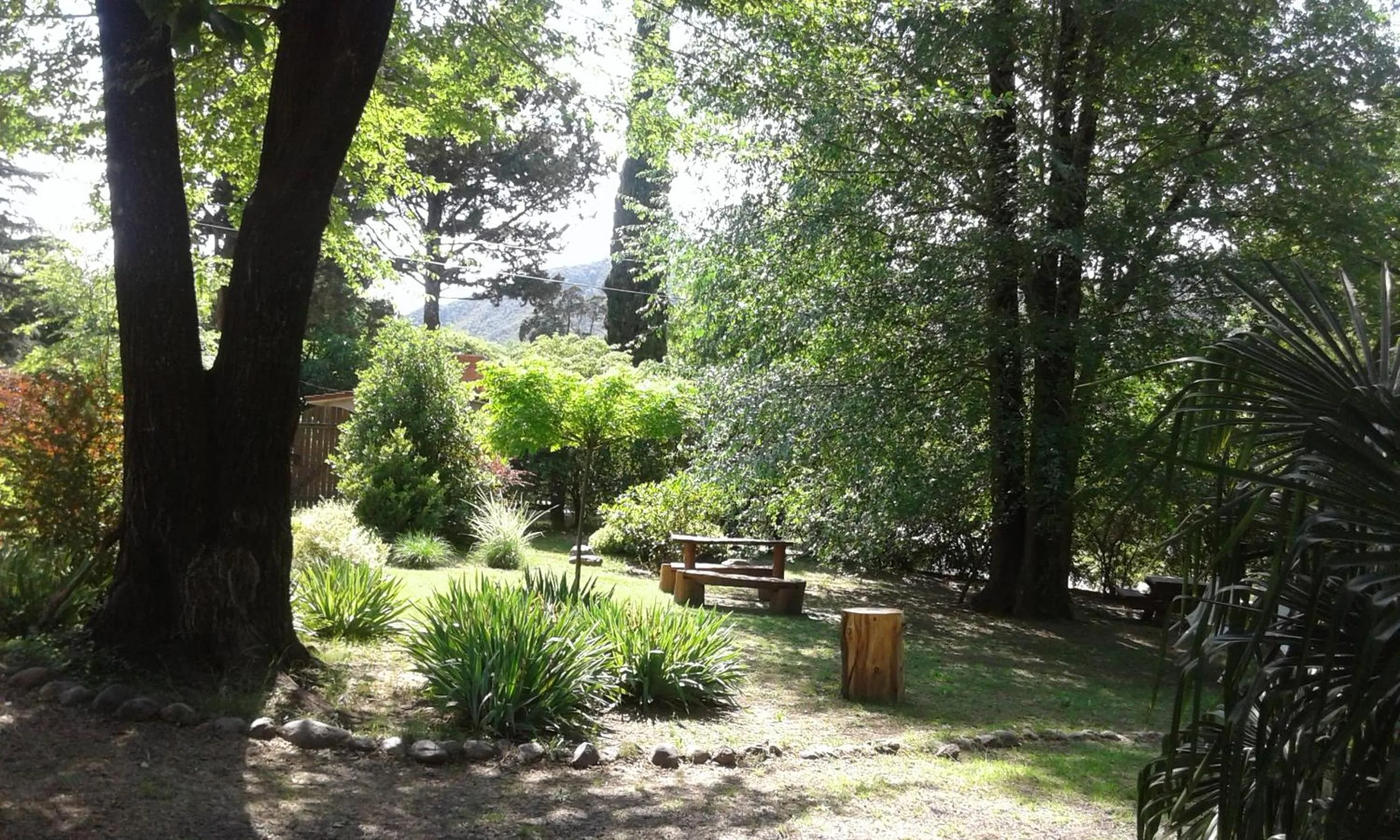 Garden in Posada Shemak