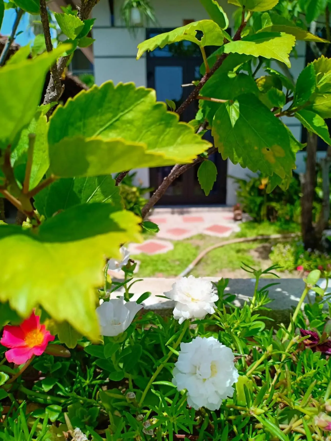 Balcony/Terrace in Hoi An Garden Sea Homestay