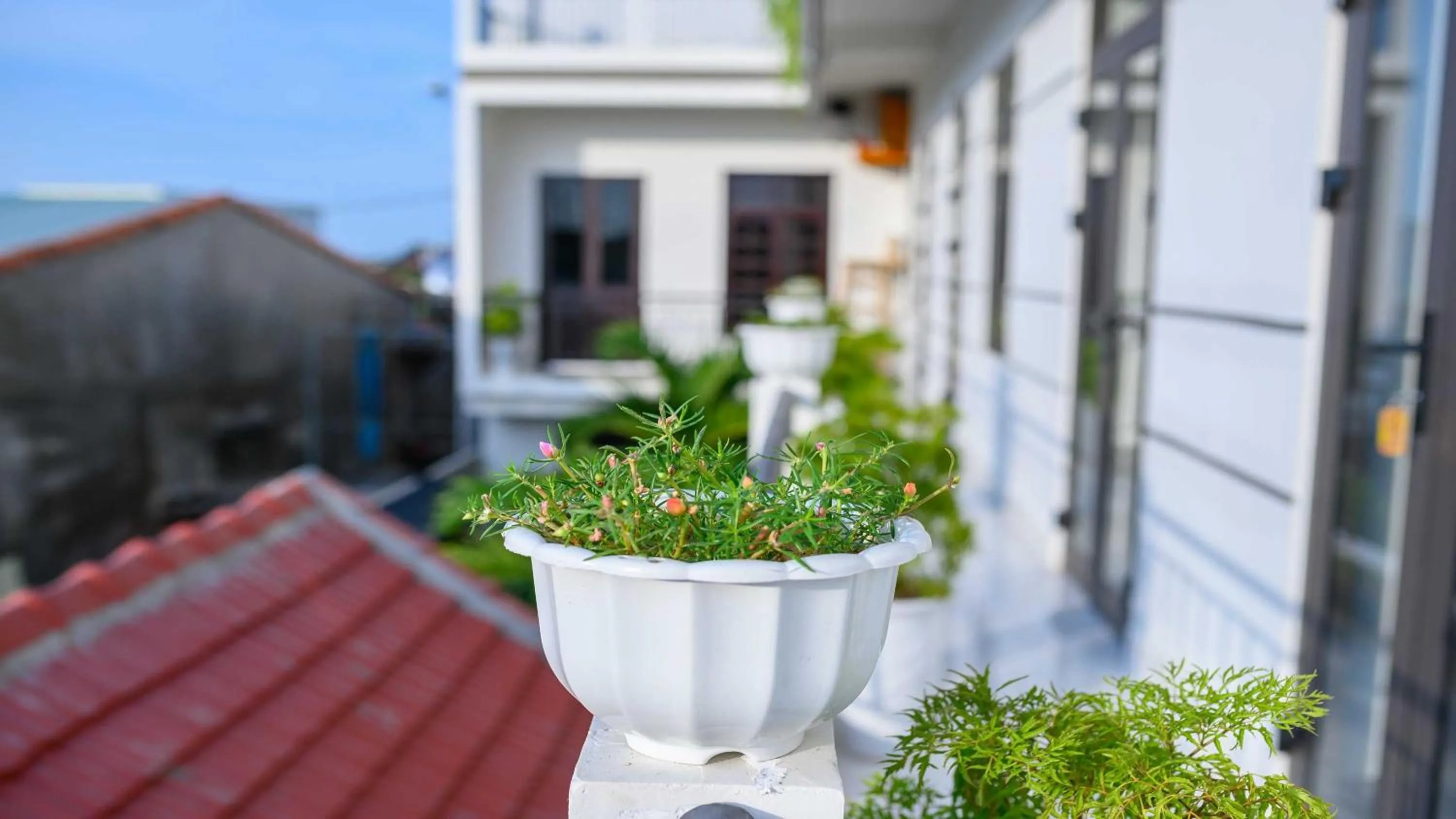 Property building in Hoi An Garden Sea Homestay