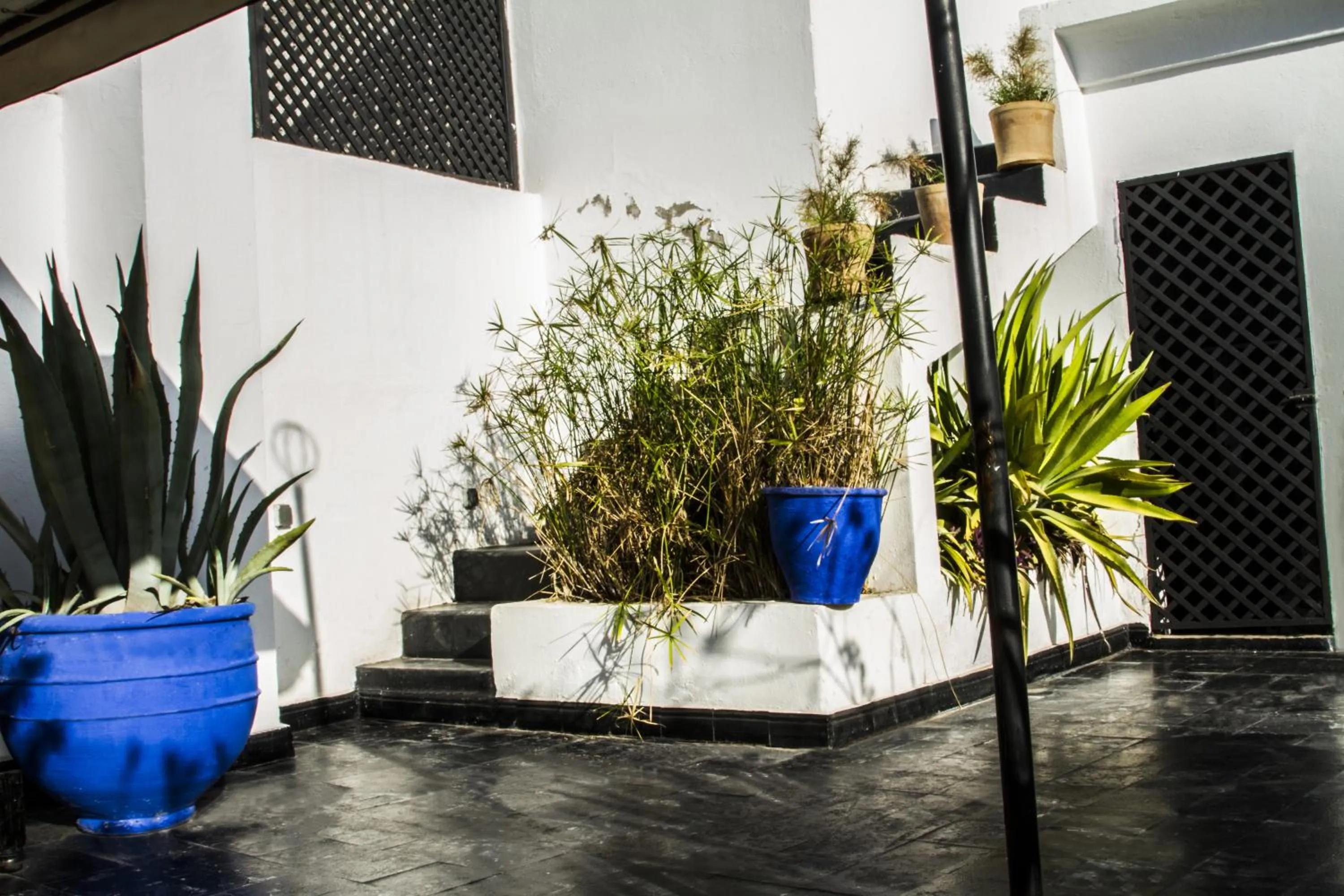 Balcony/Terrace in Riad THALGE