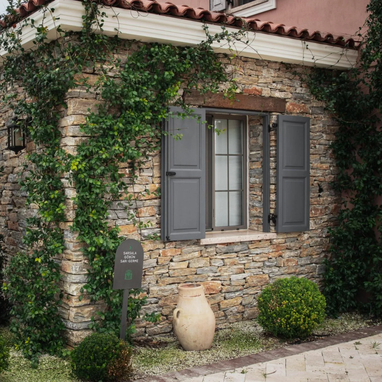 Garden in Zigo's Hotel