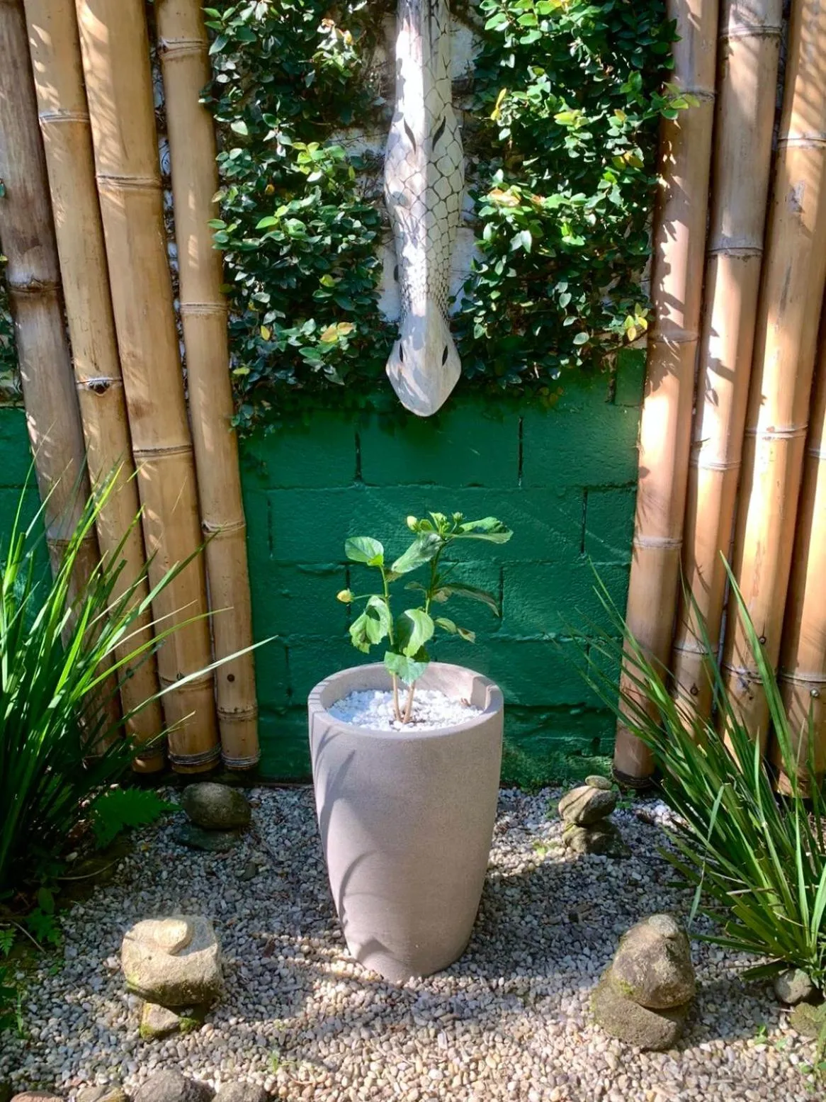 Waimea Flats Maresias