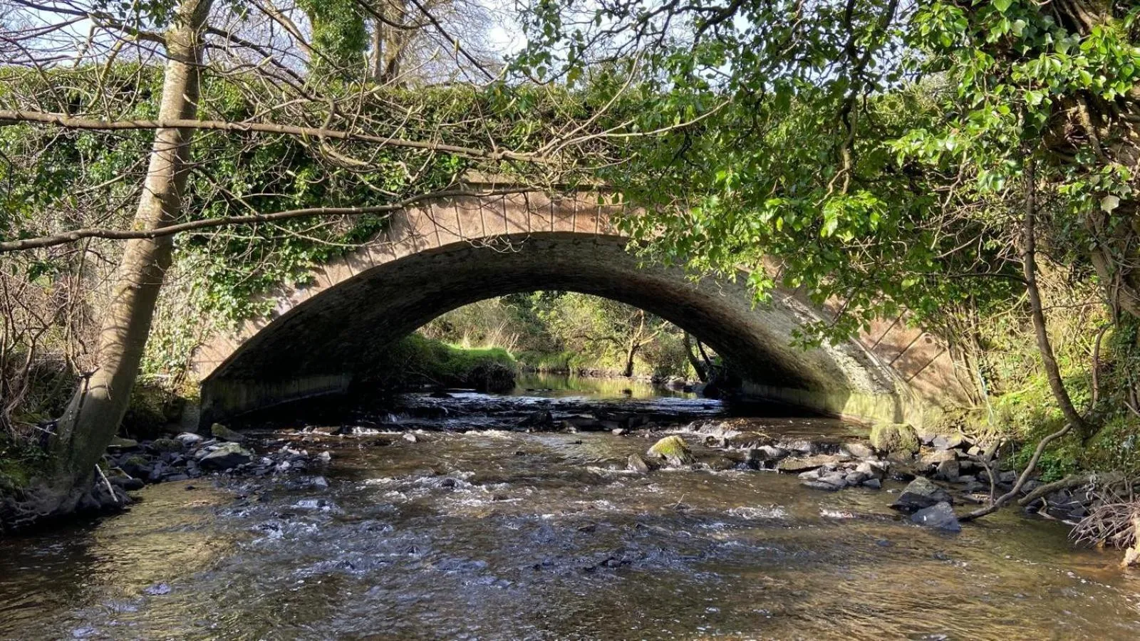 Basil Sheils B&B Accommodation Armagh