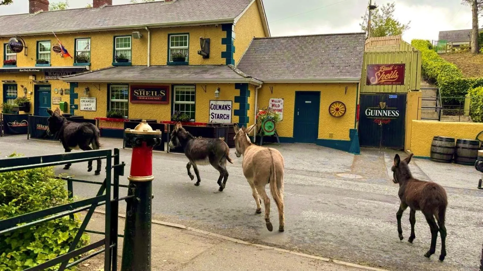 Basil Sheils B&B Accommodation Armagh