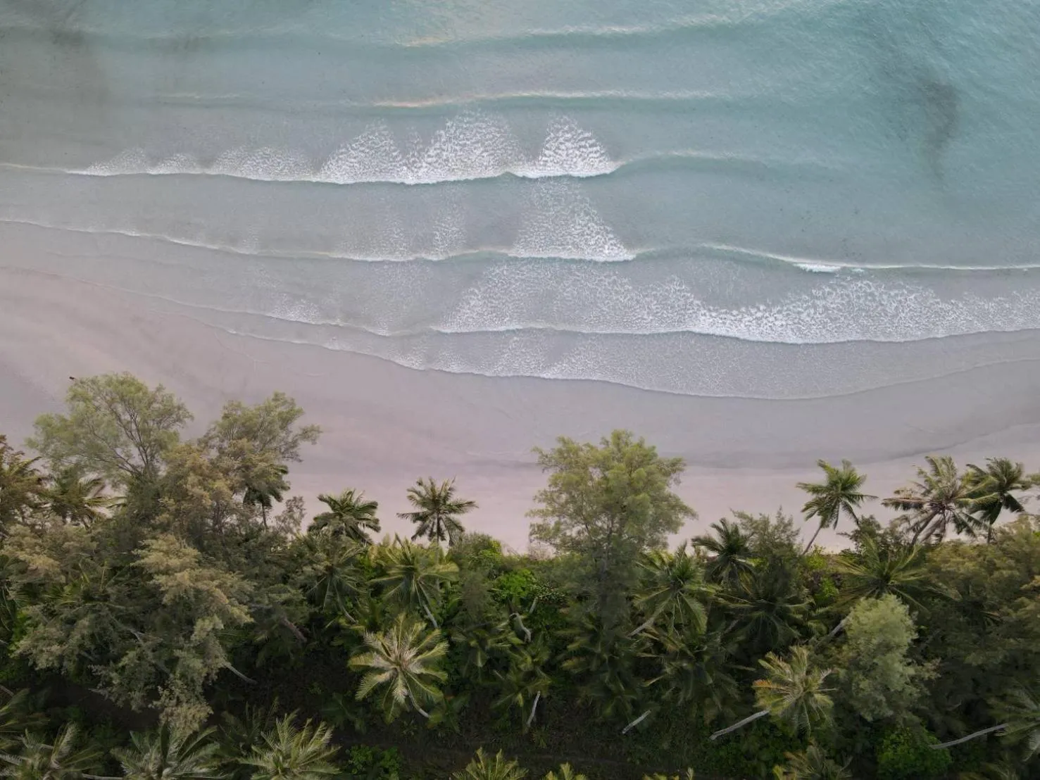 Koh kood Neverland beach resort