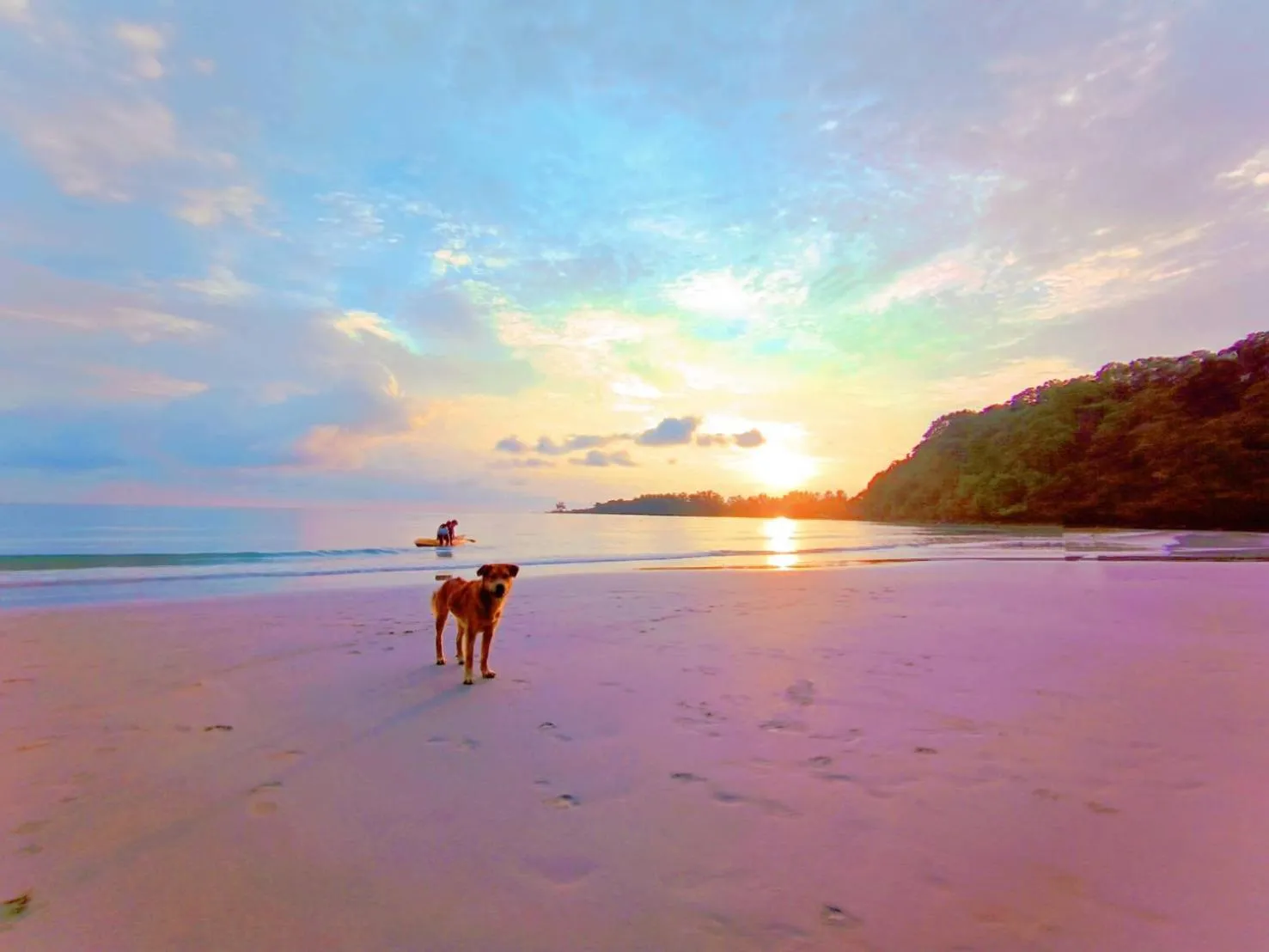 Koh kood Neverland beach resort