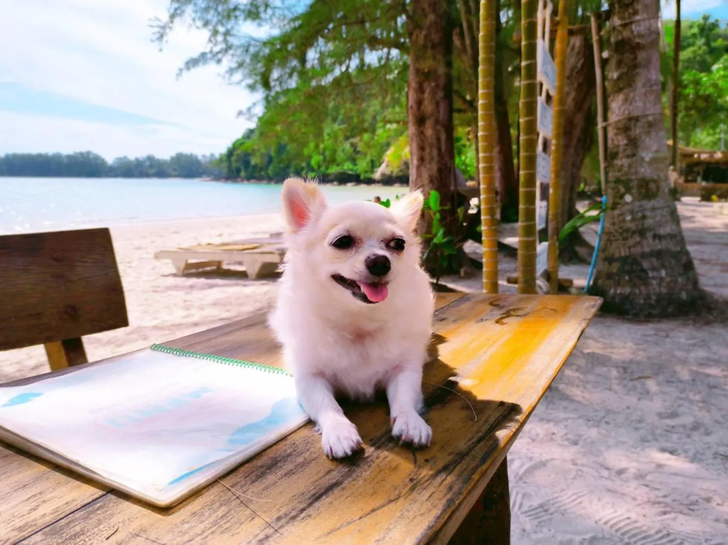 Koh kood Neverland beach resort