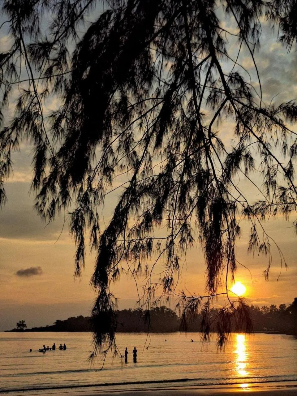 Koh kood Neverland beach resort