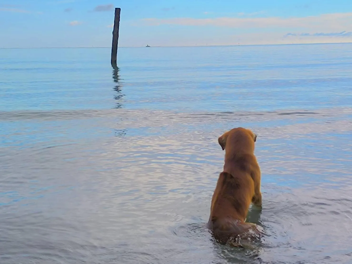 Koh kood Neverland beach resort